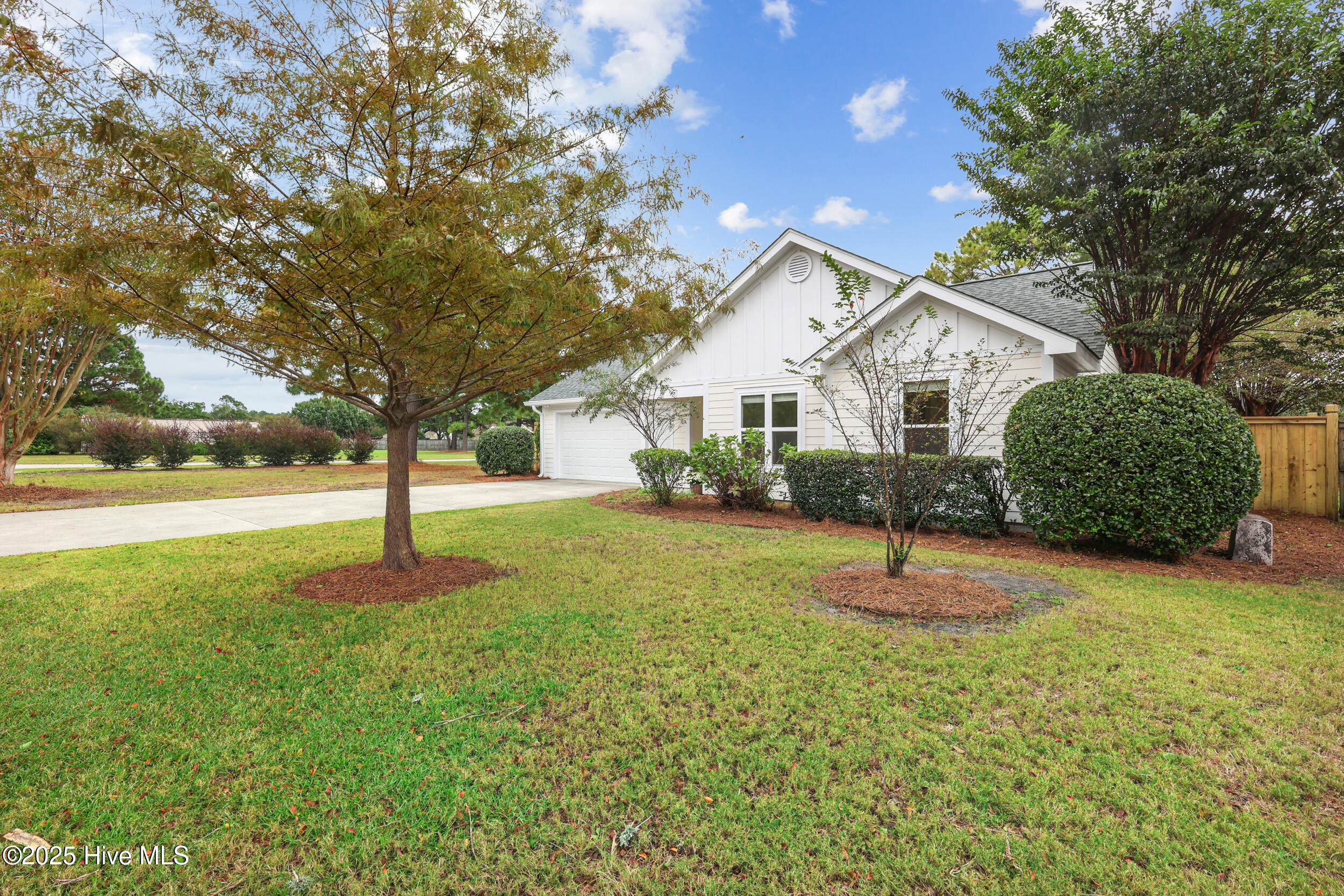 100540559 | Photo 26