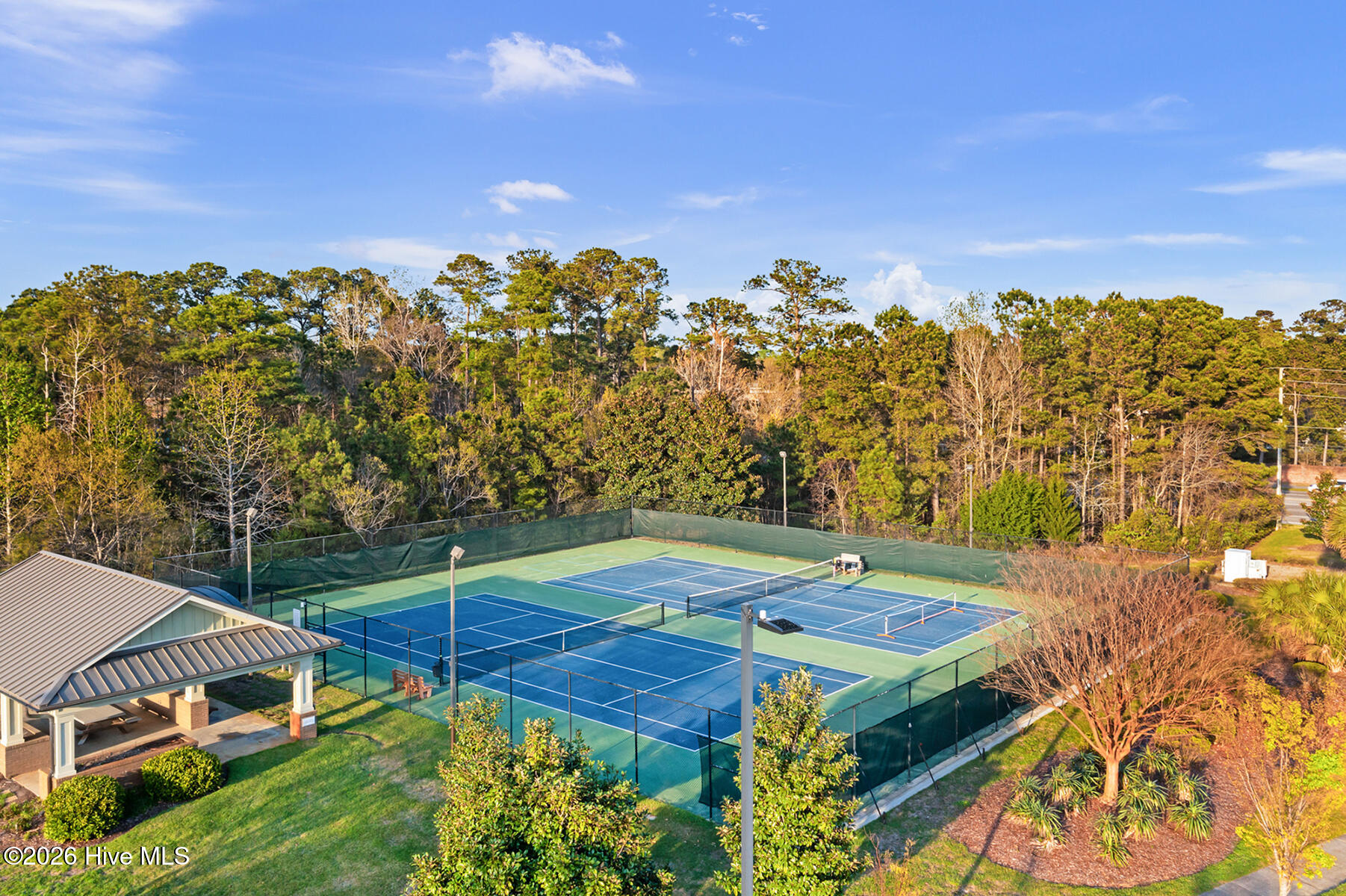 100563868 | Photo 31