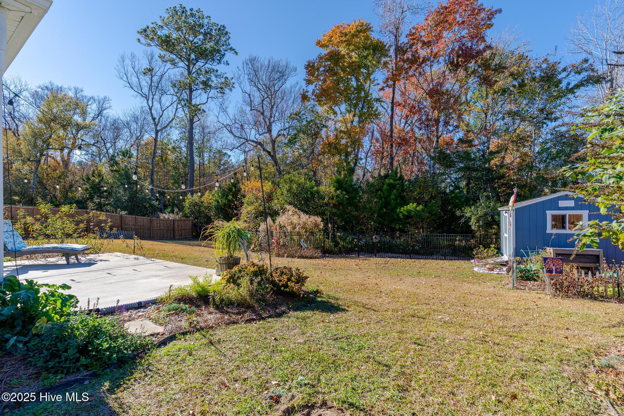 100542071 | Photo 27