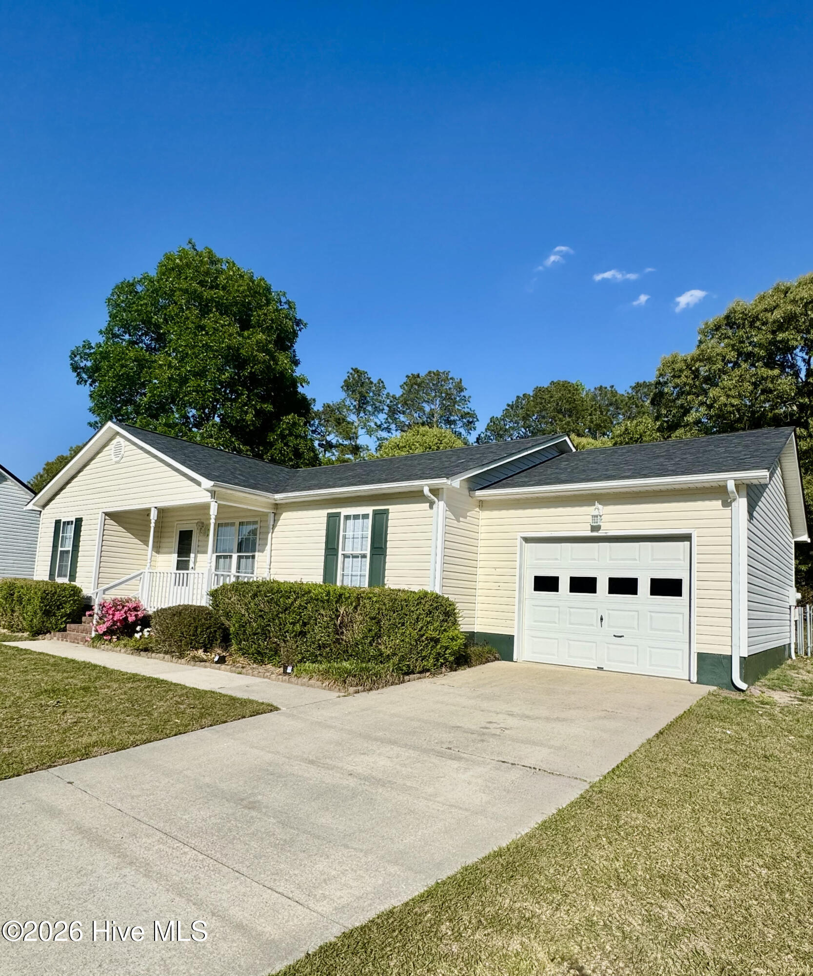 100568678 | Photo 28