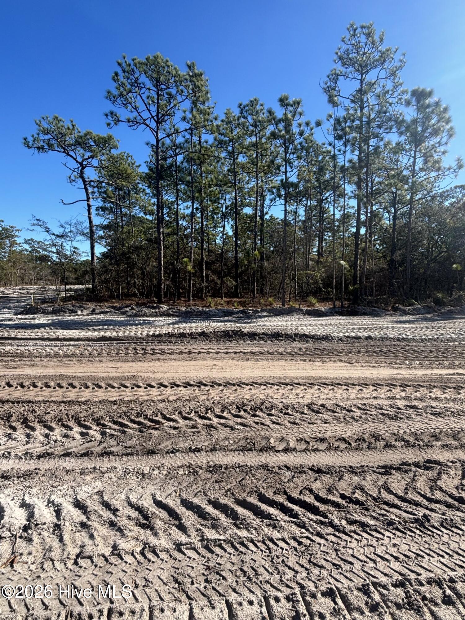 Carolina Barrier Islands