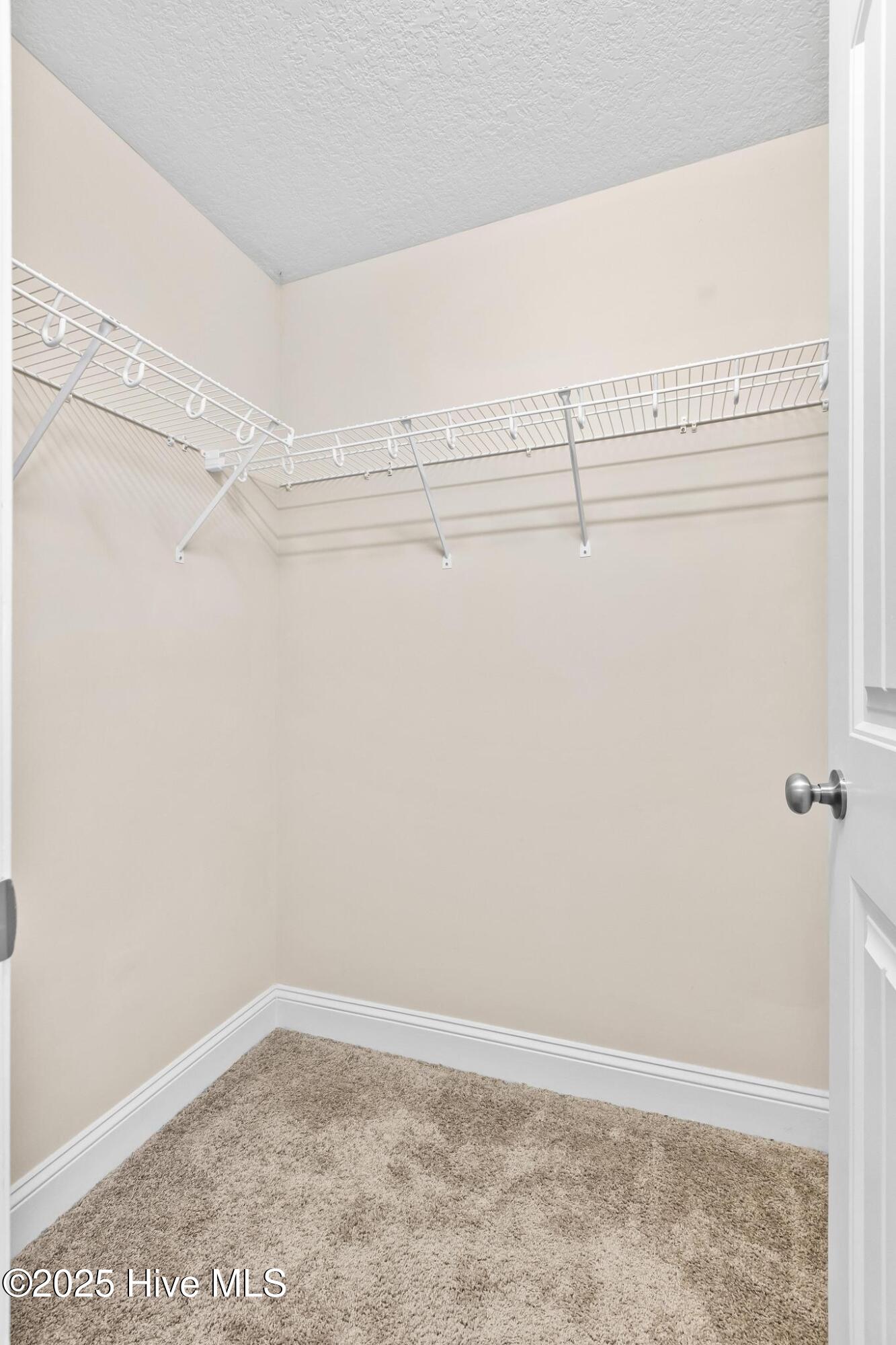 100536910 | Photo 38