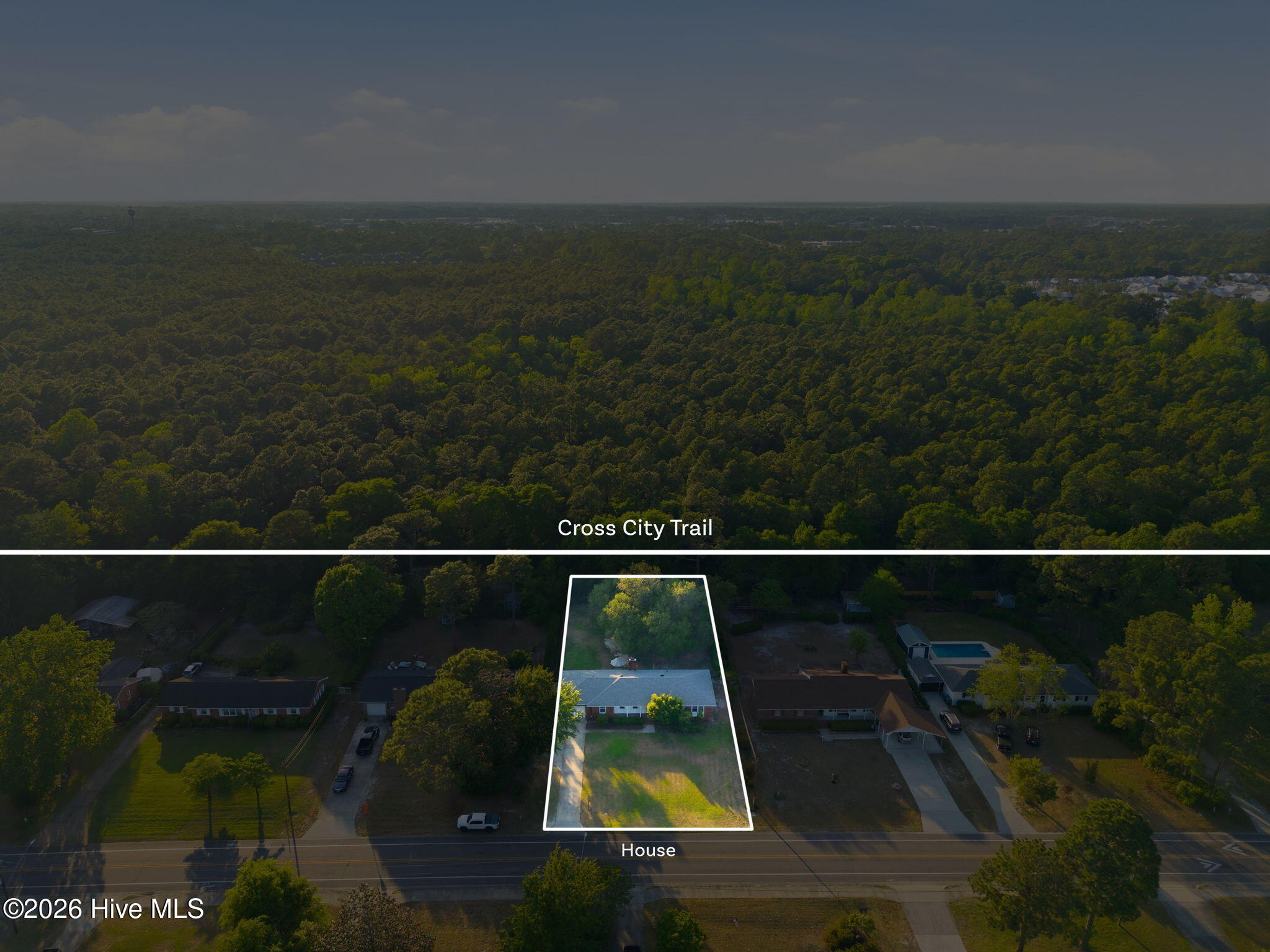 100569519 | Photo 47