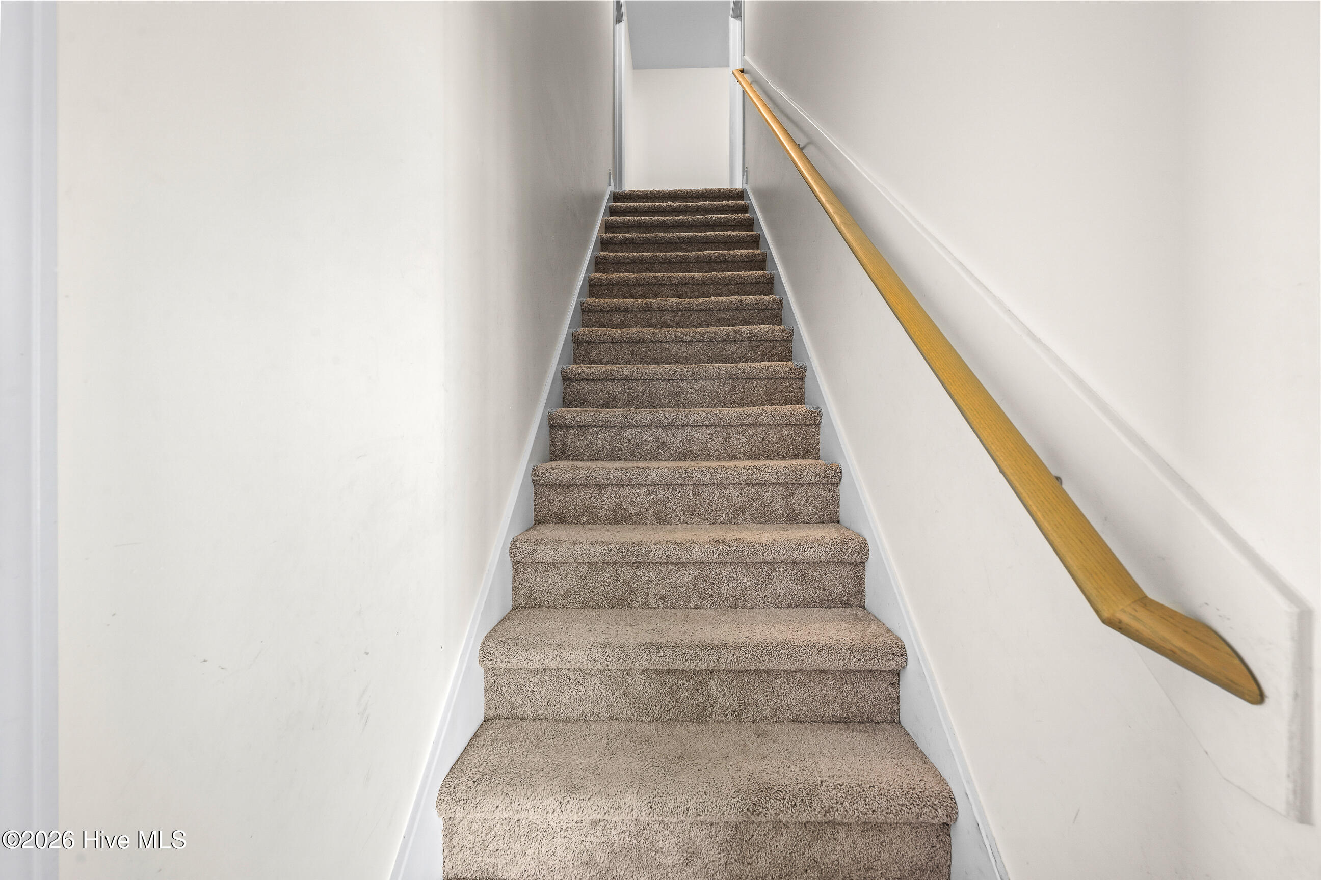 100567296 | Photo 20