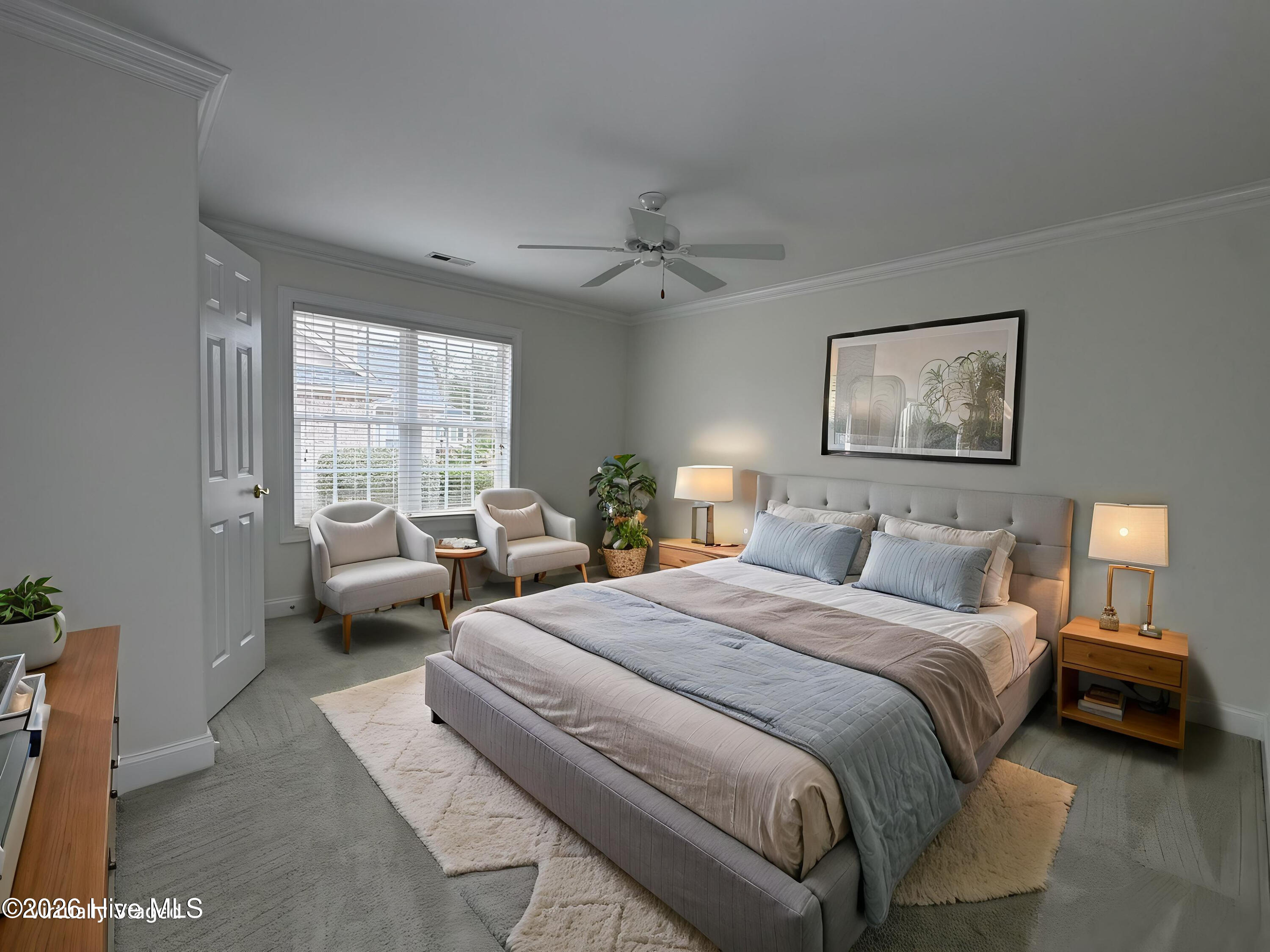 100558874 | Photo 23