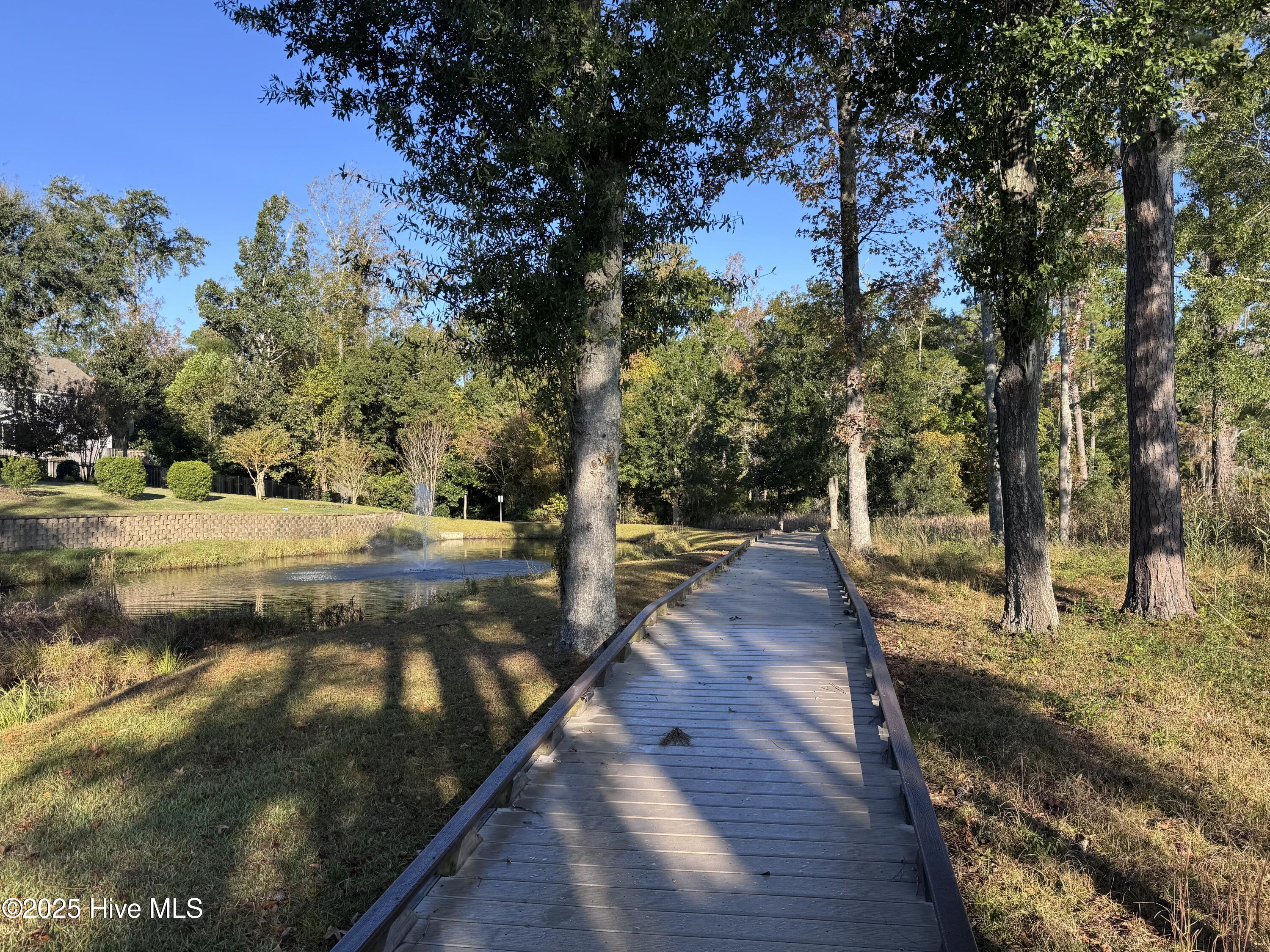 100539282 | Photo 42