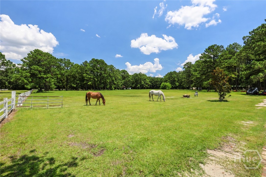 Horses virtually added