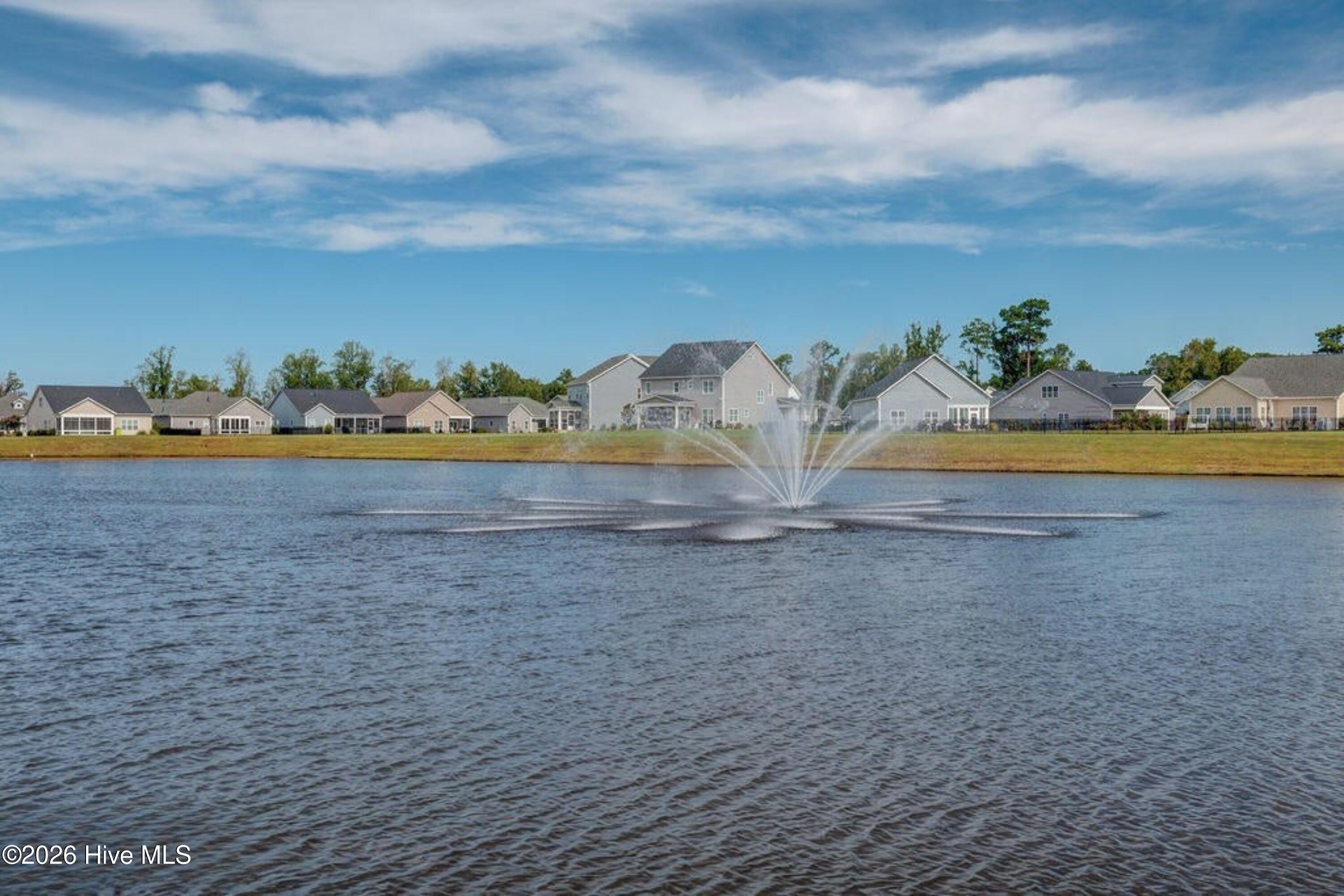 100562294 | Photo 54