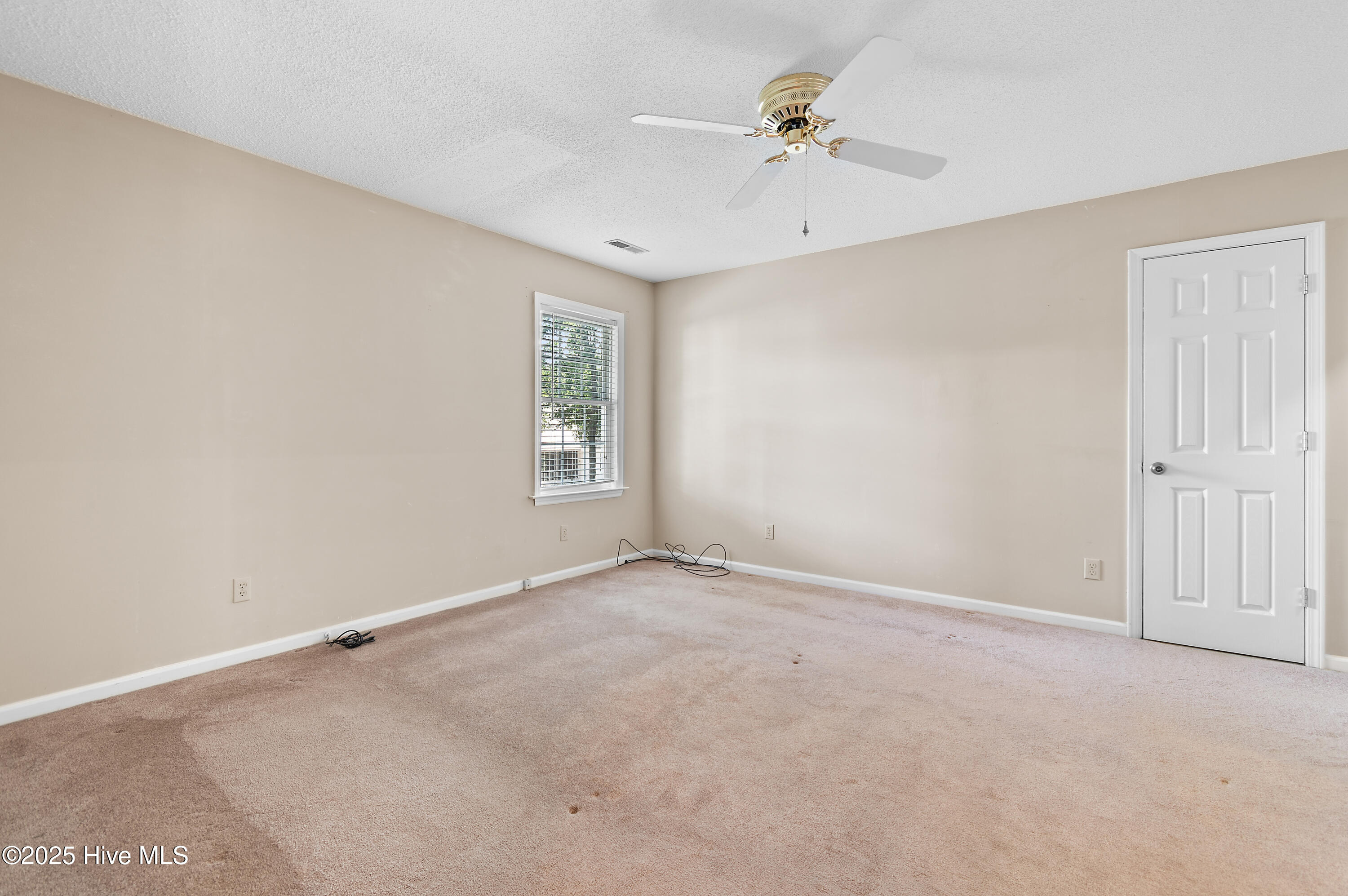 100537451 | Photo 14