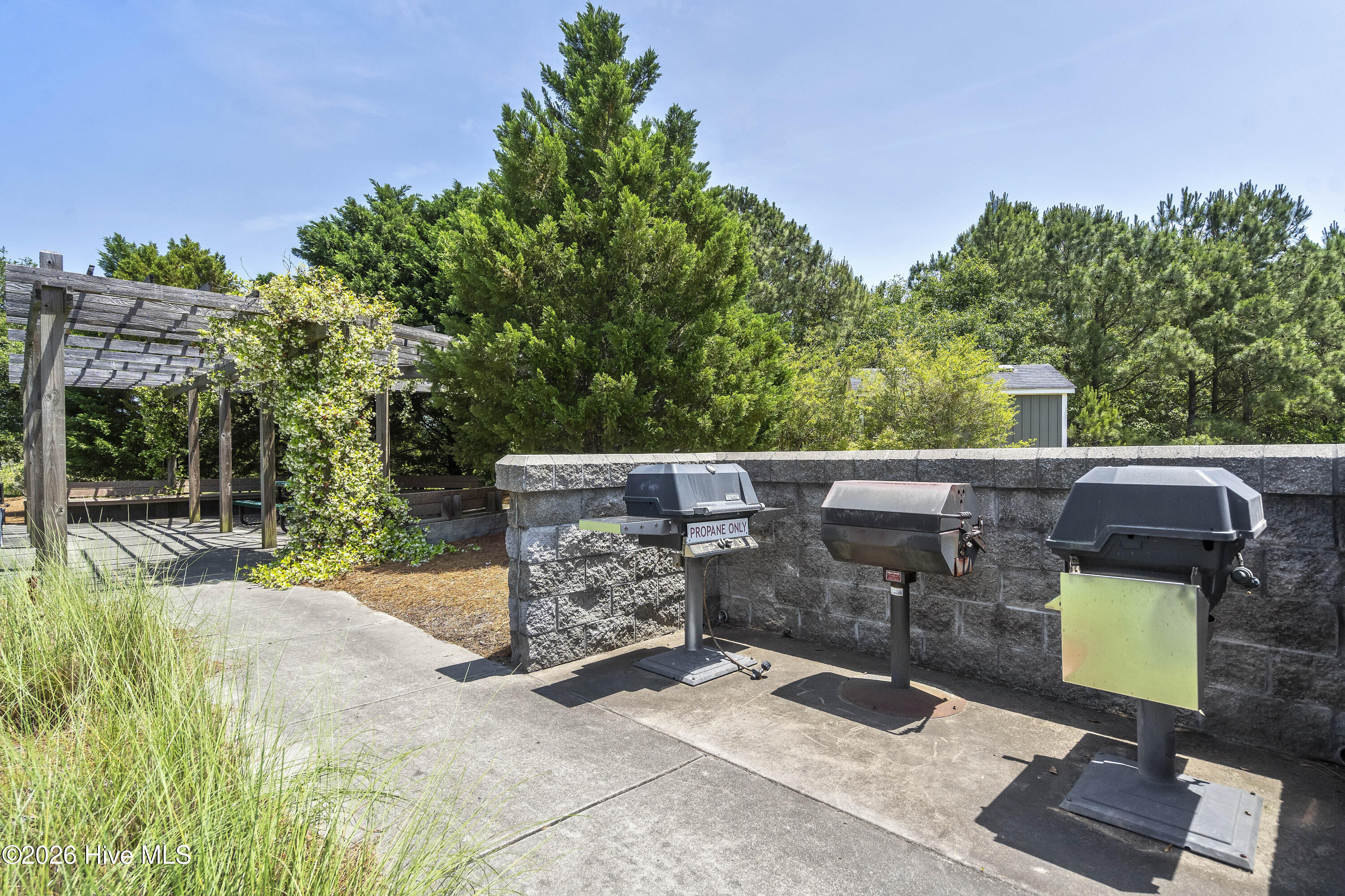 100562110 | Photo 118