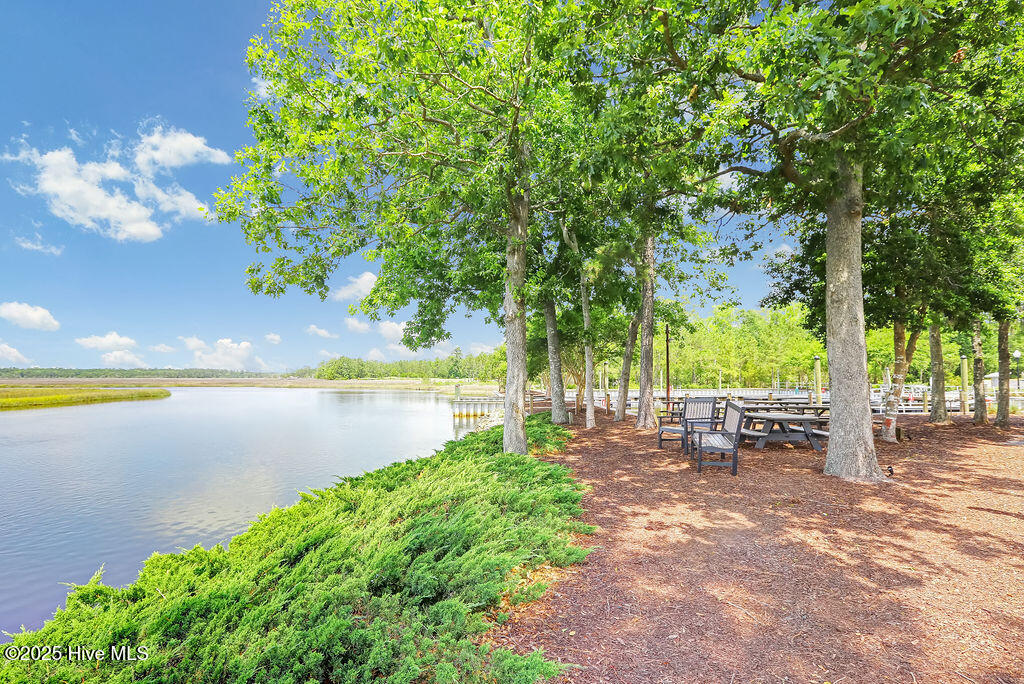 100533432 | Photo 35