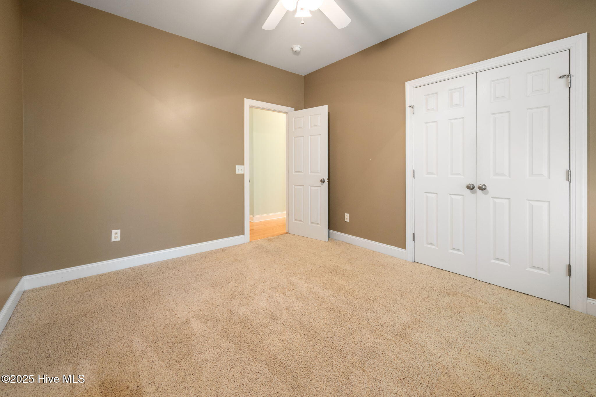 100538167 | Photo 29