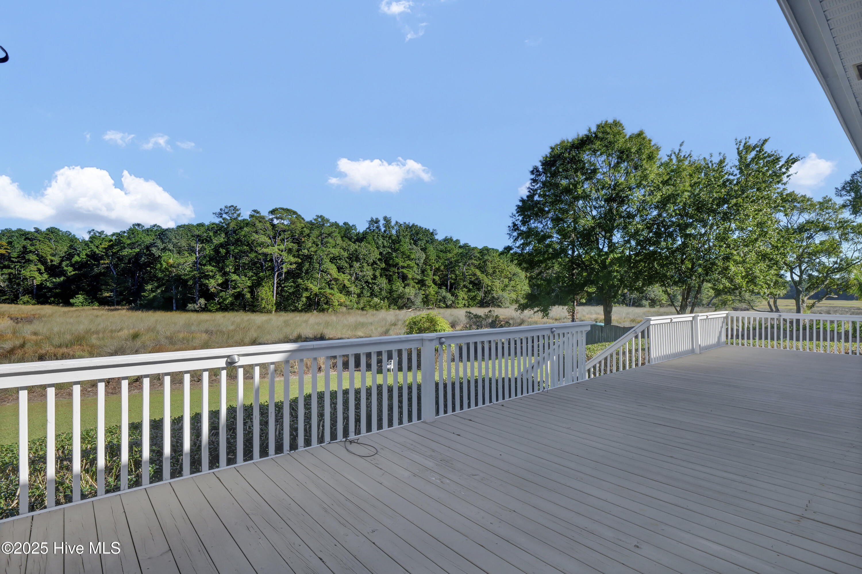 100556880 | Photo 46