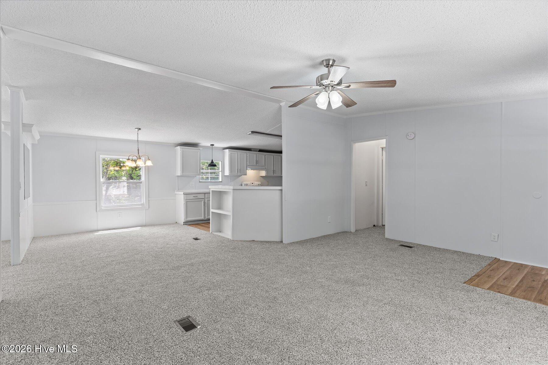 100567568 | Photo 11