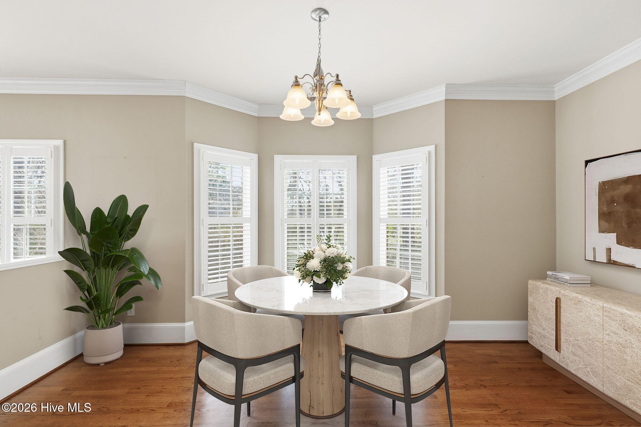 100565083 | Photo 23