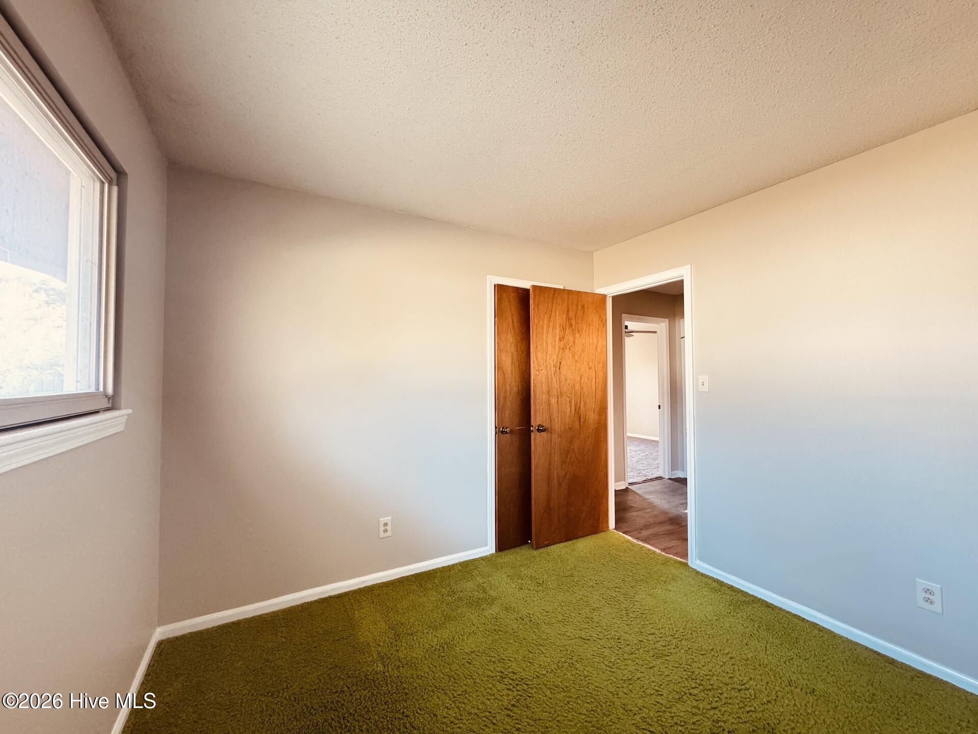 100561695 | Photo 15