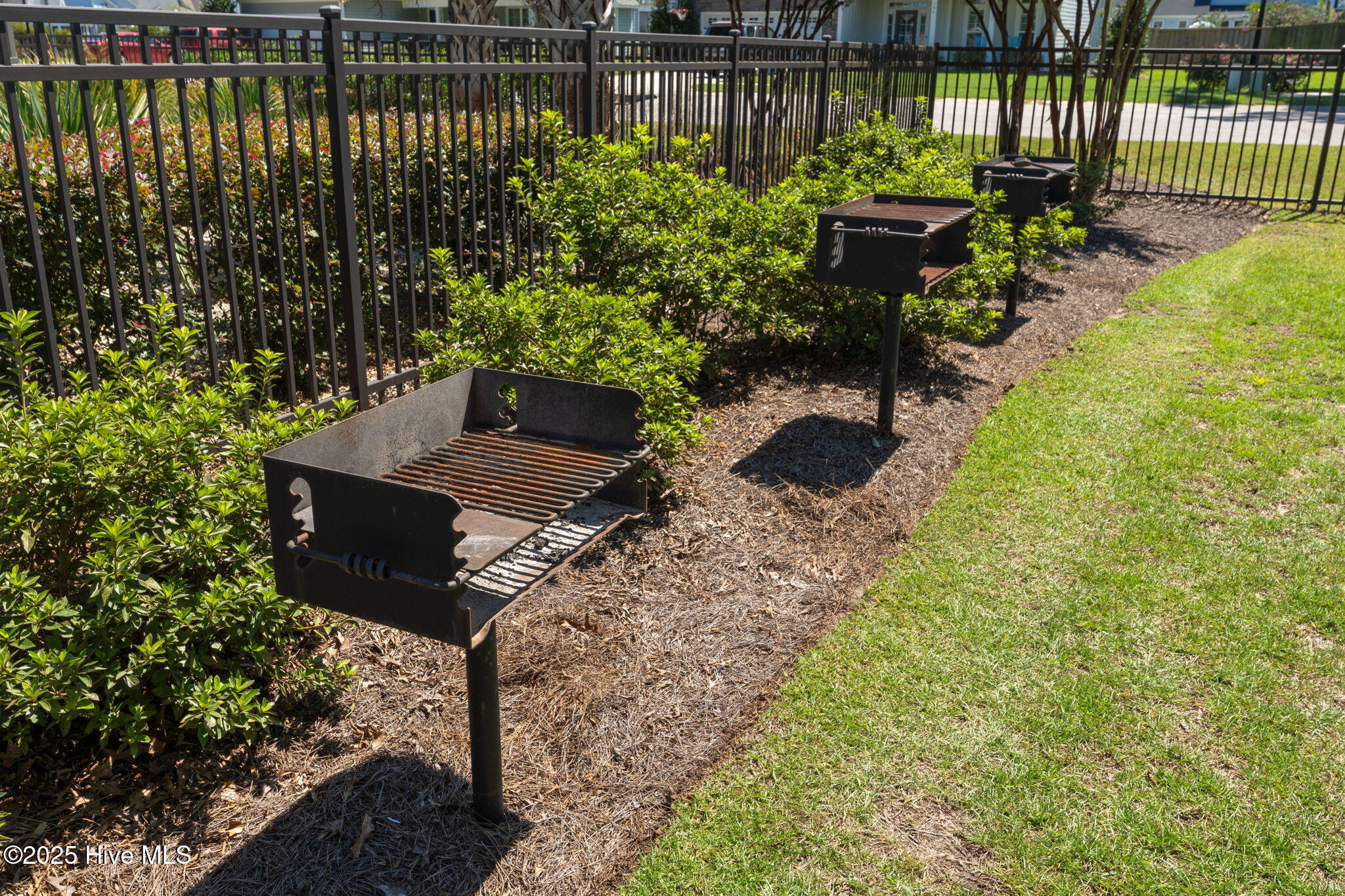 100527863 | Photo 67