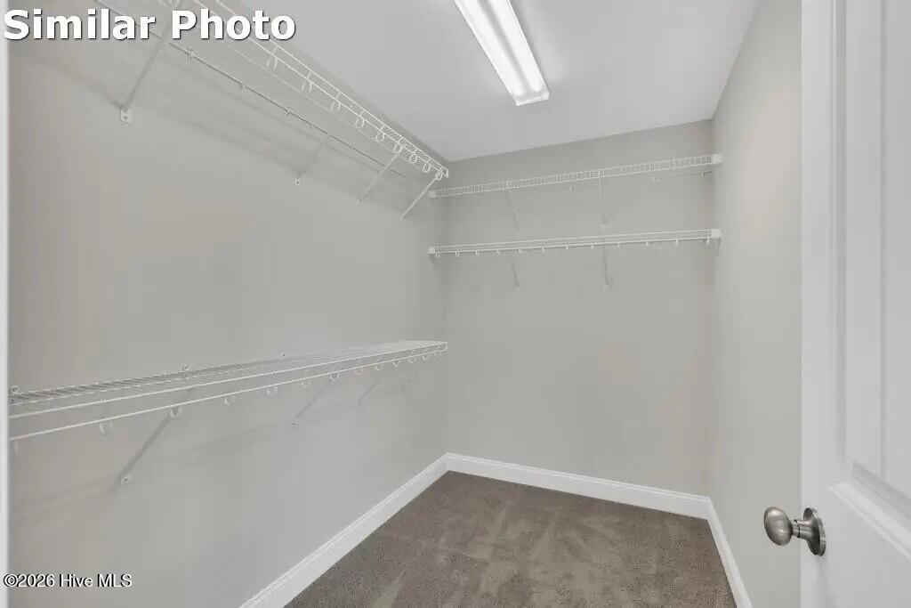 506 E Black Water Lane,Maysville