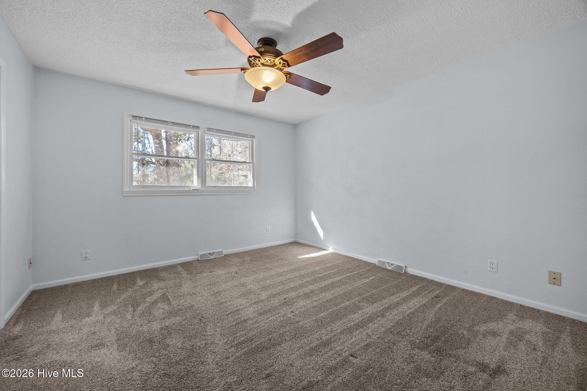 100548233 | Photo 10