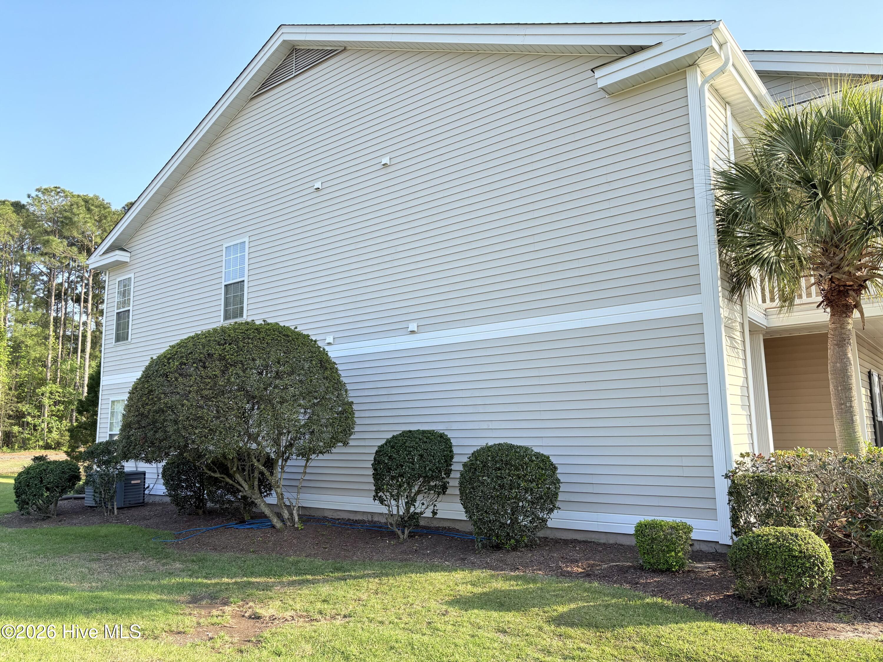 100567437 | Photo 23