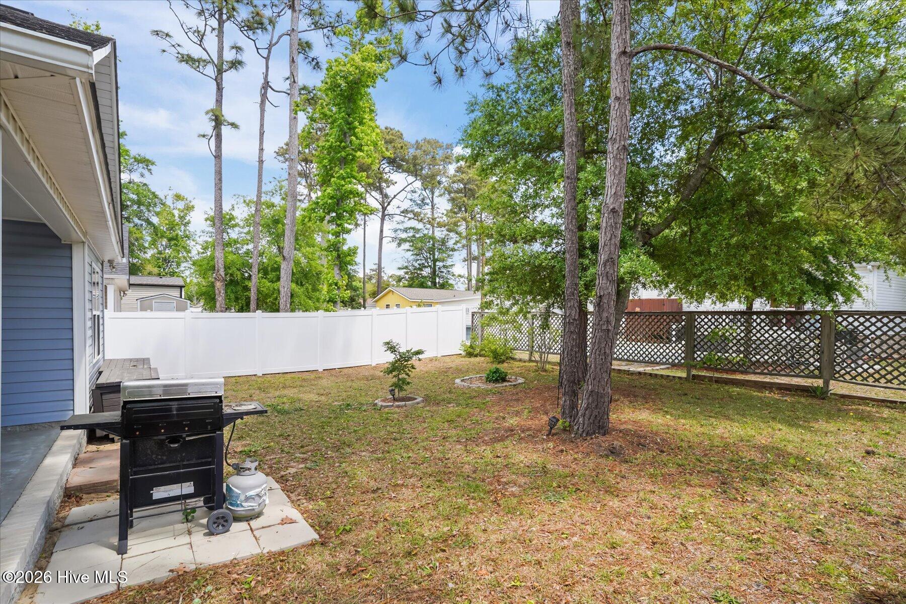 100570645 | Photo 34