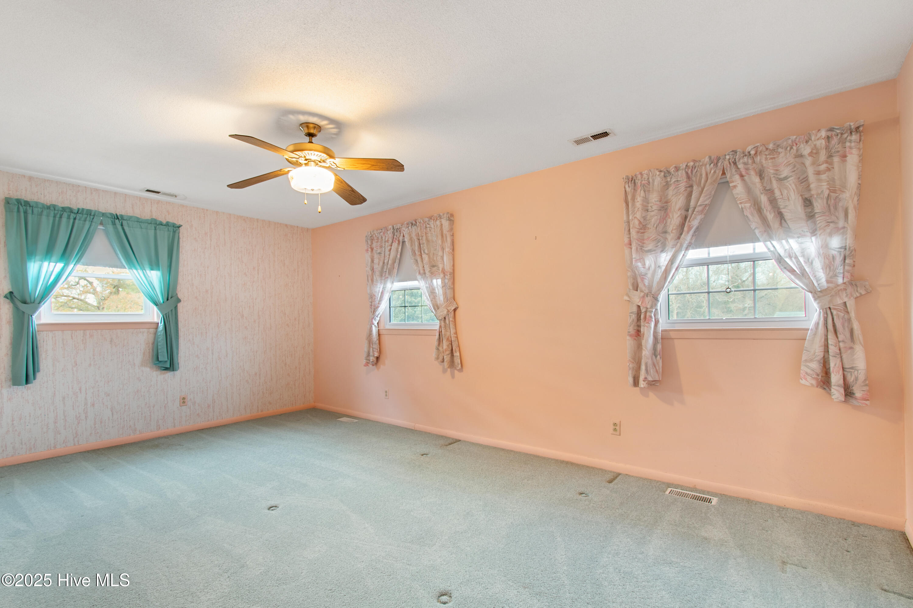 100538072 | Photo 17