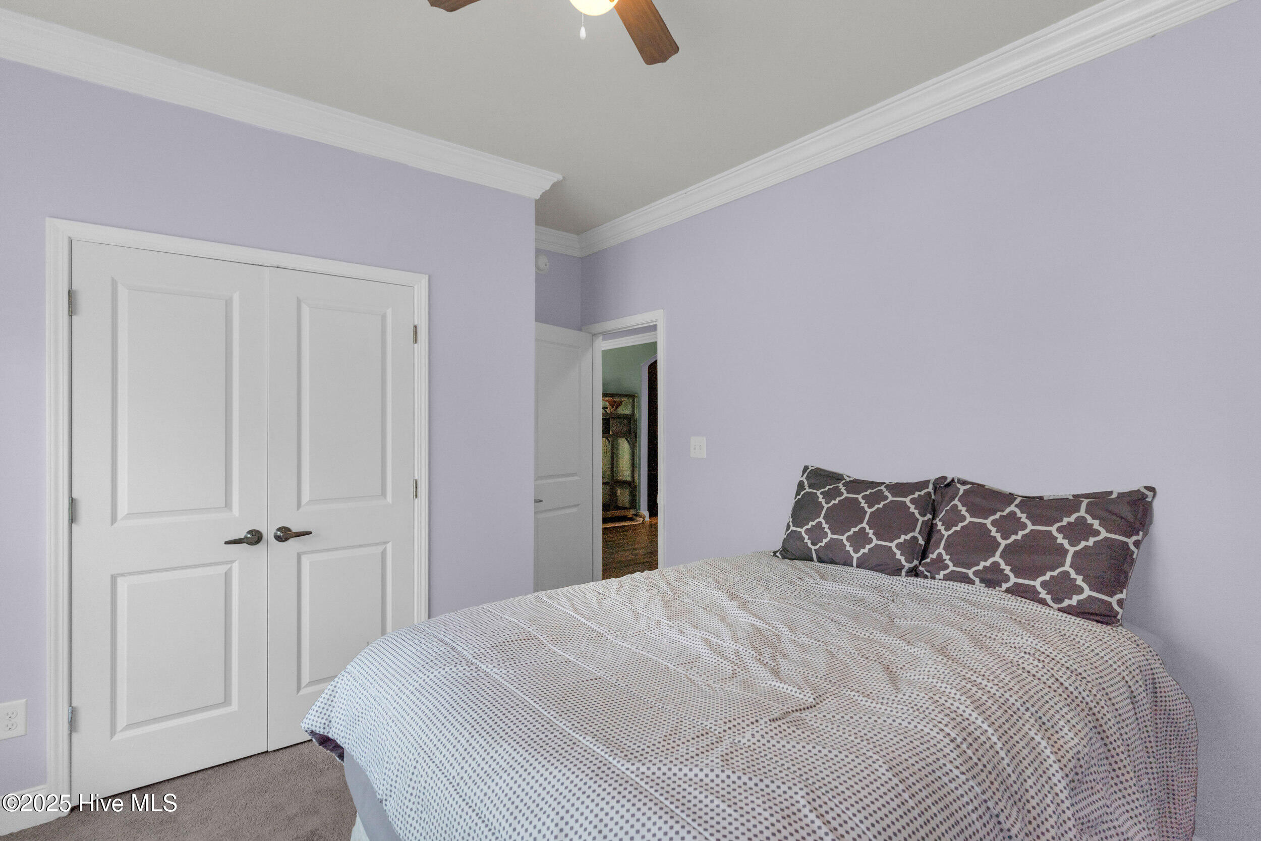 100521196 | Photo 19