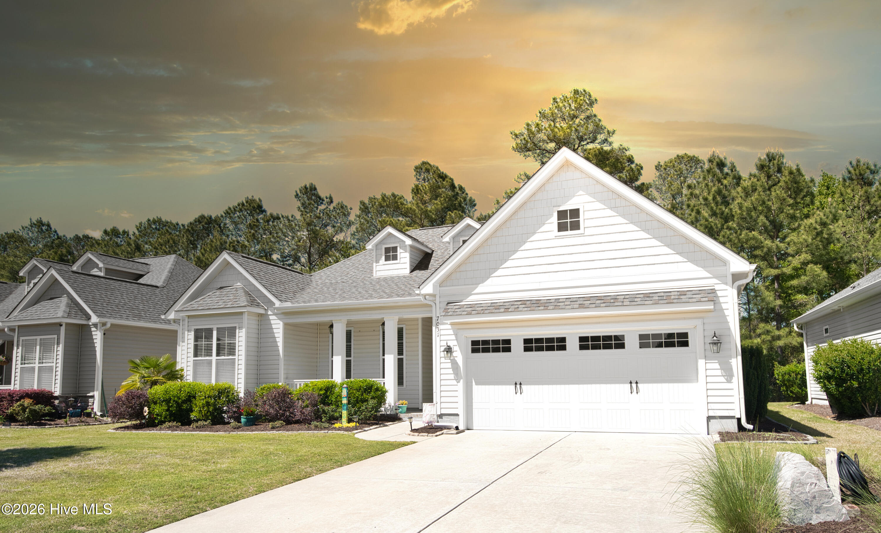 100567363 | Photo 61