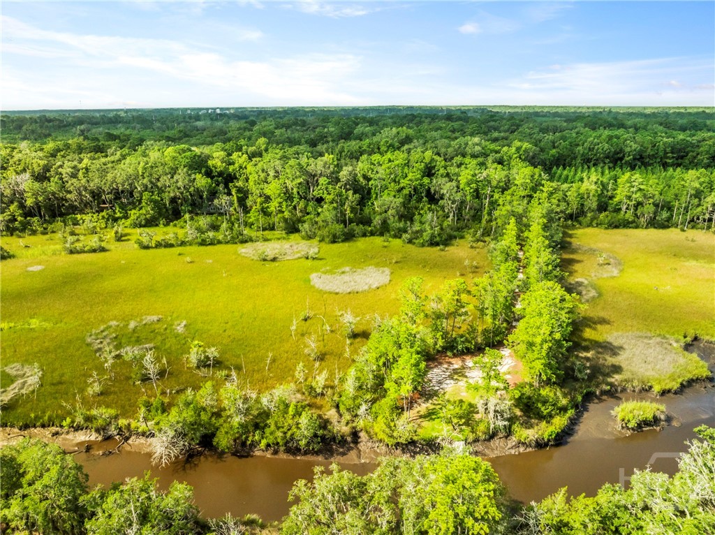 Lot and Neighboring Community Area with access to the creek