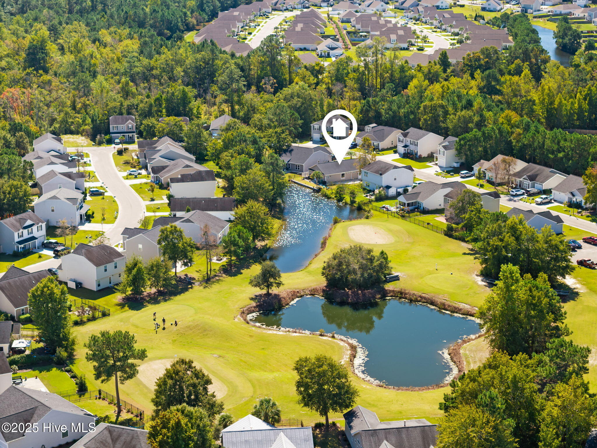 100536893 | Photo 41