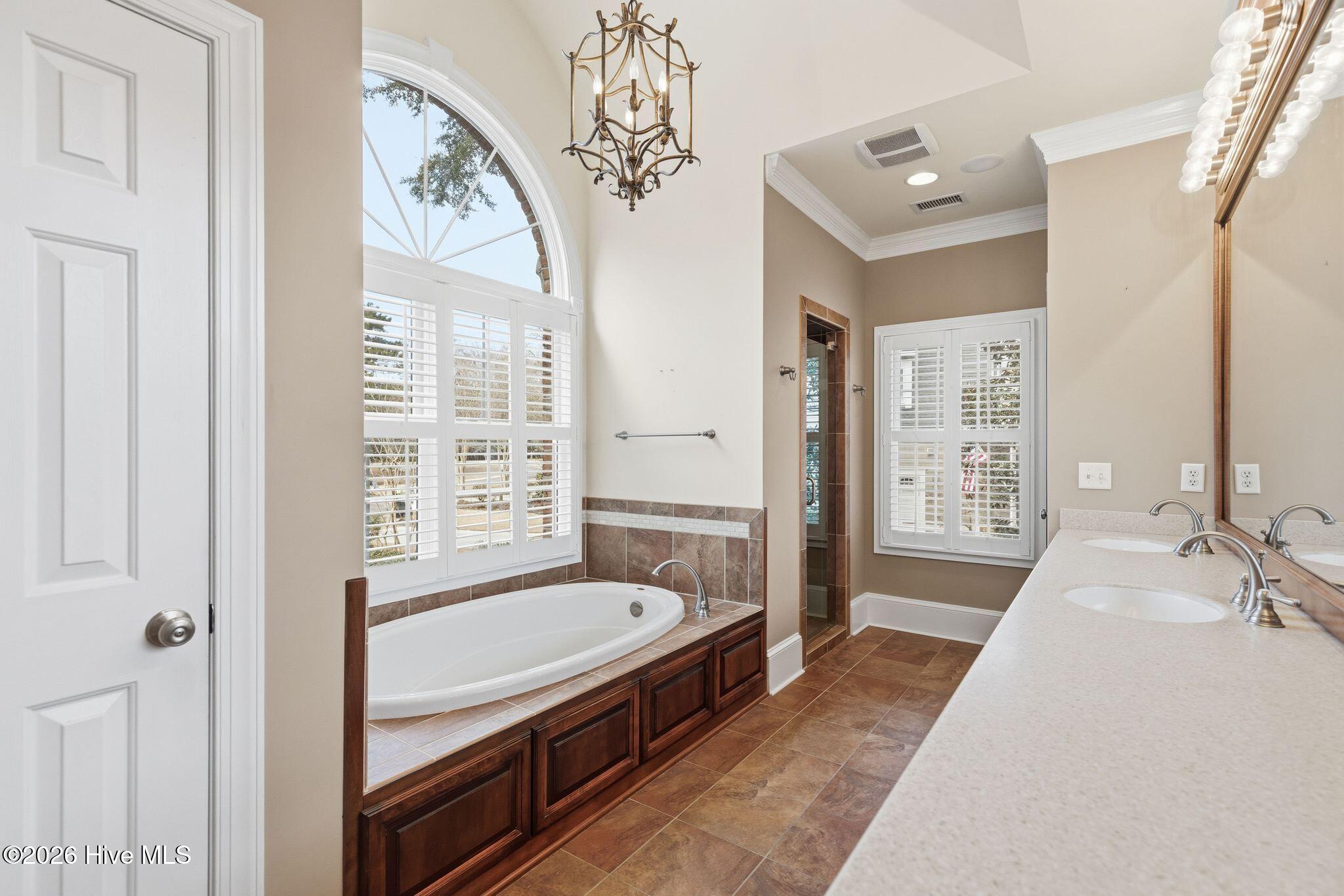 100565083 | Photo 37