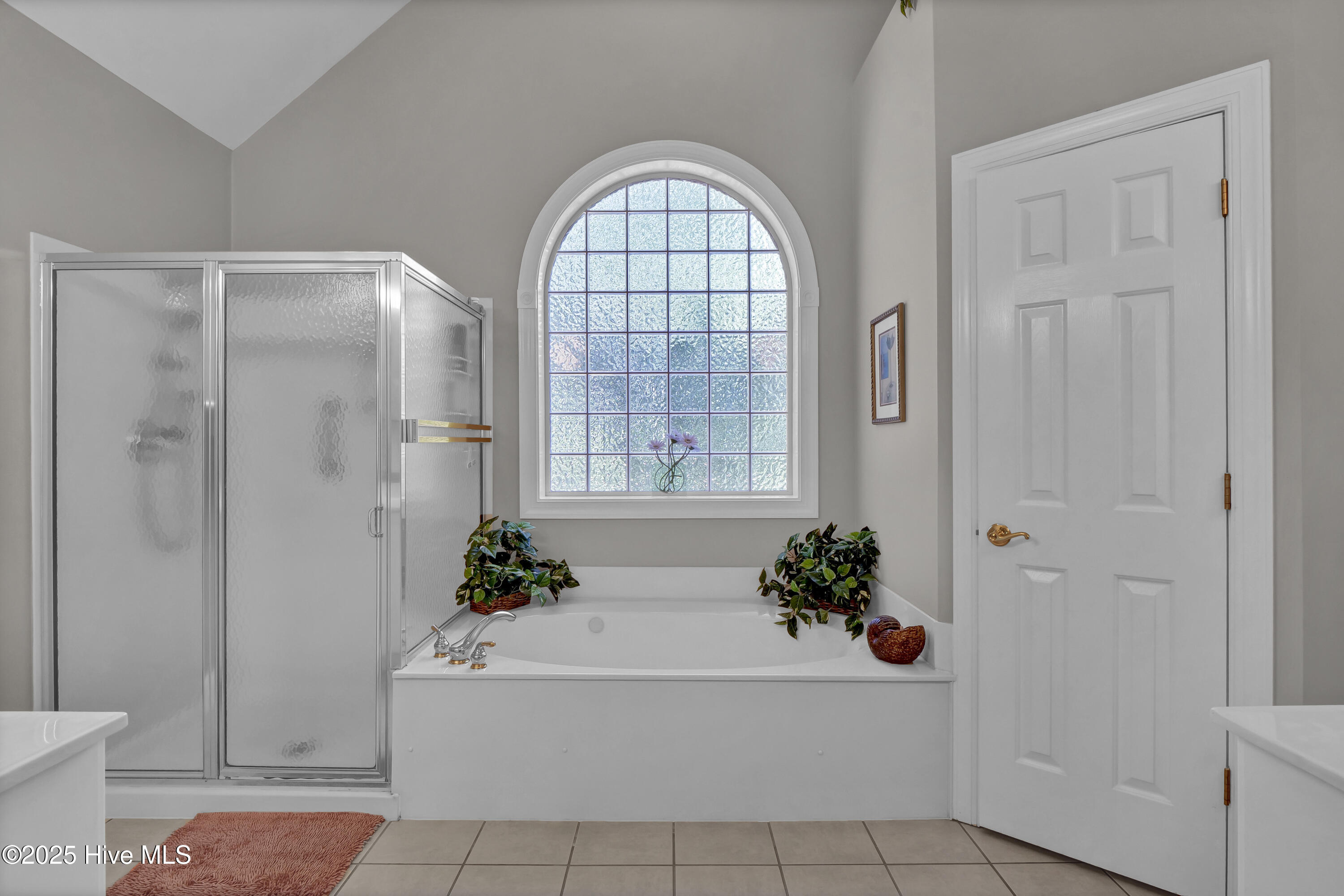 100533946 | Photo 29