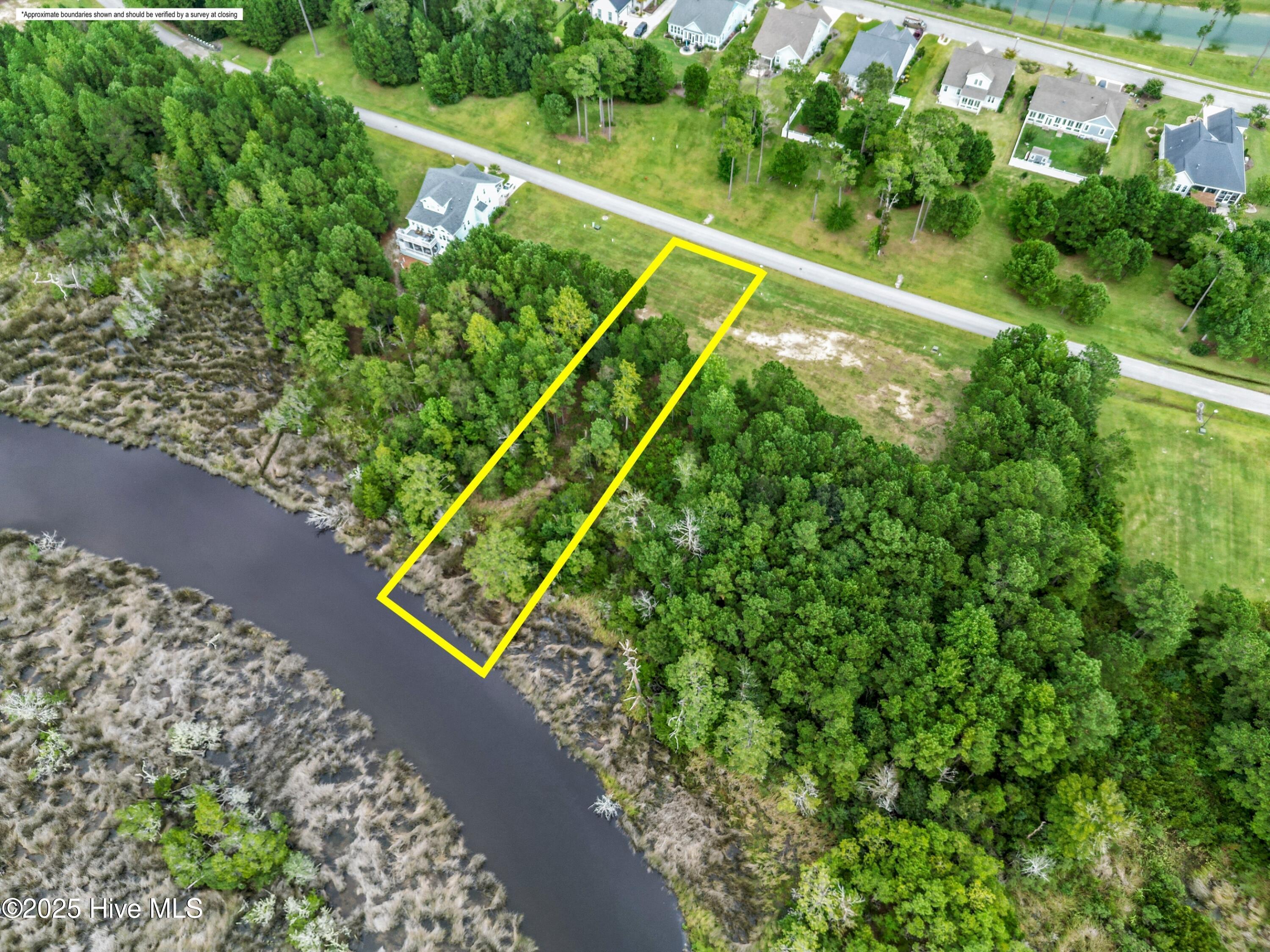 100529216 | Photo 15