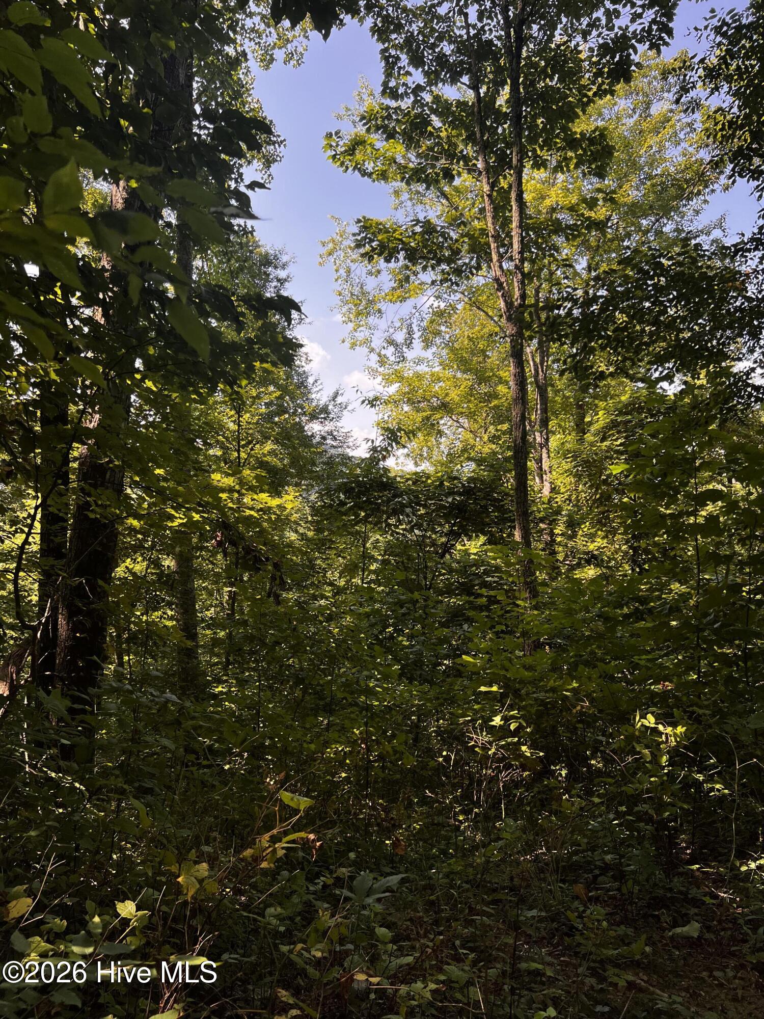 100604291 | Photo 2