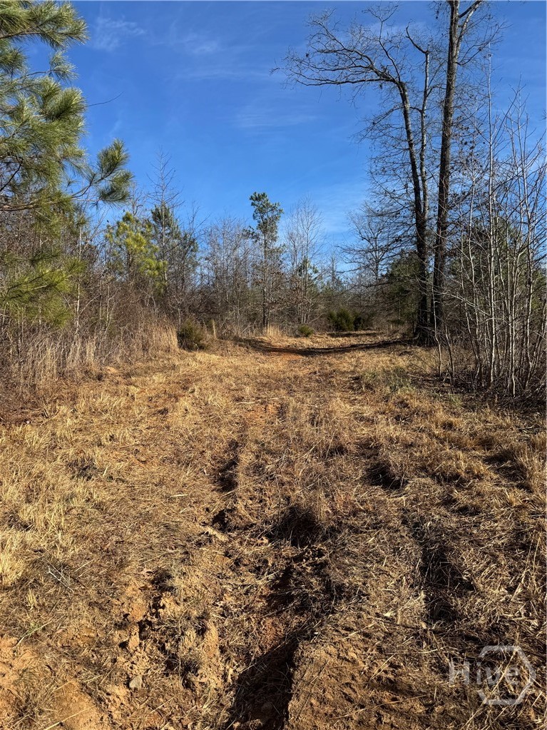 738 Old Mineral Springs Road, Elberton, GA, 30635