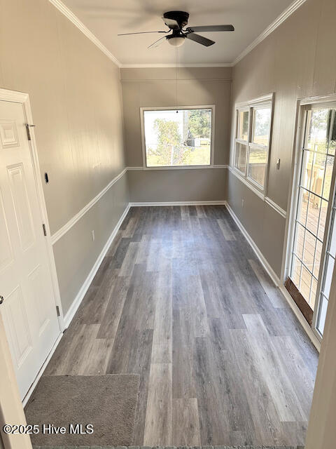 100542566 | Photo 35