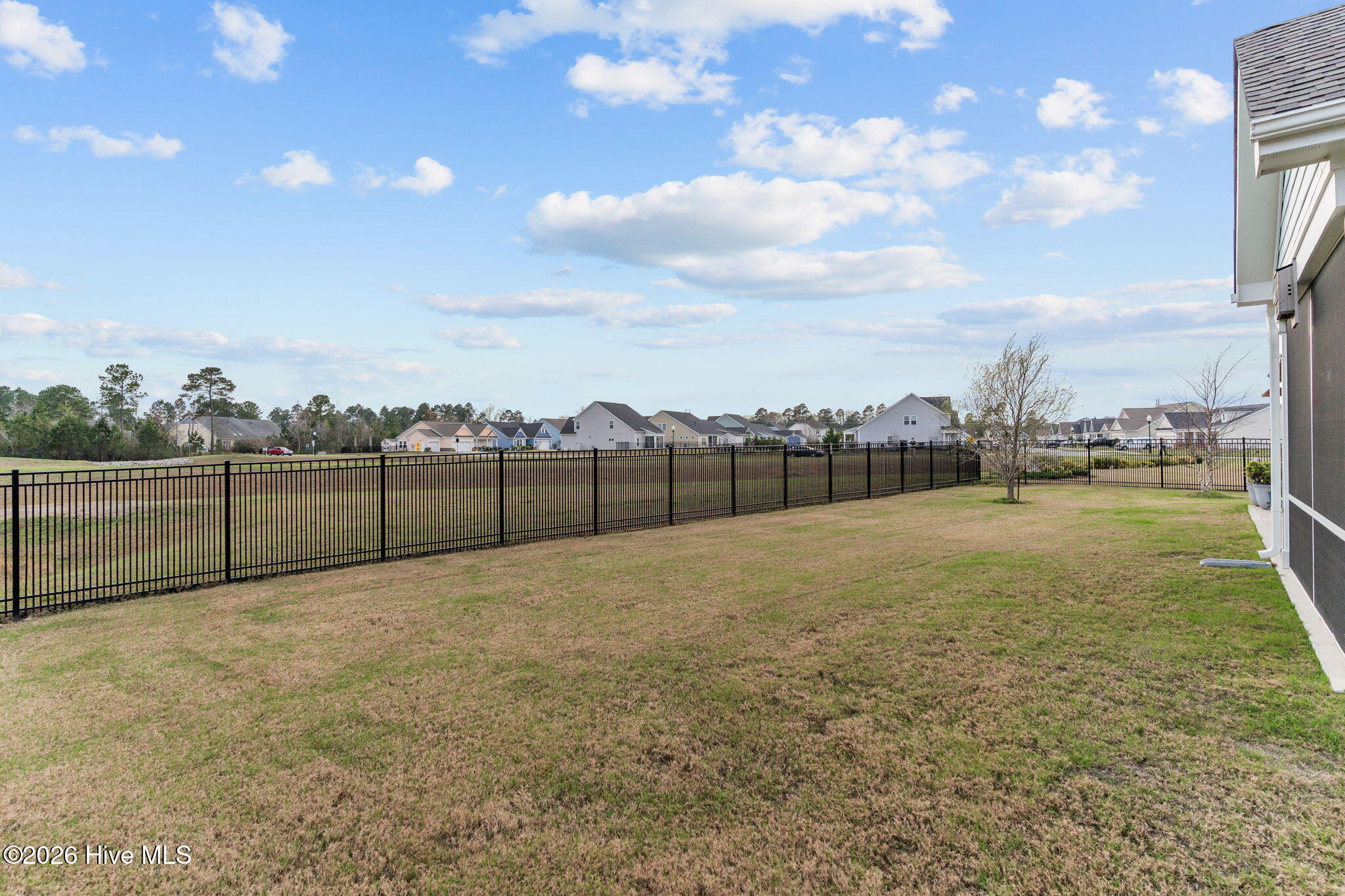 100559124 | Photo 44