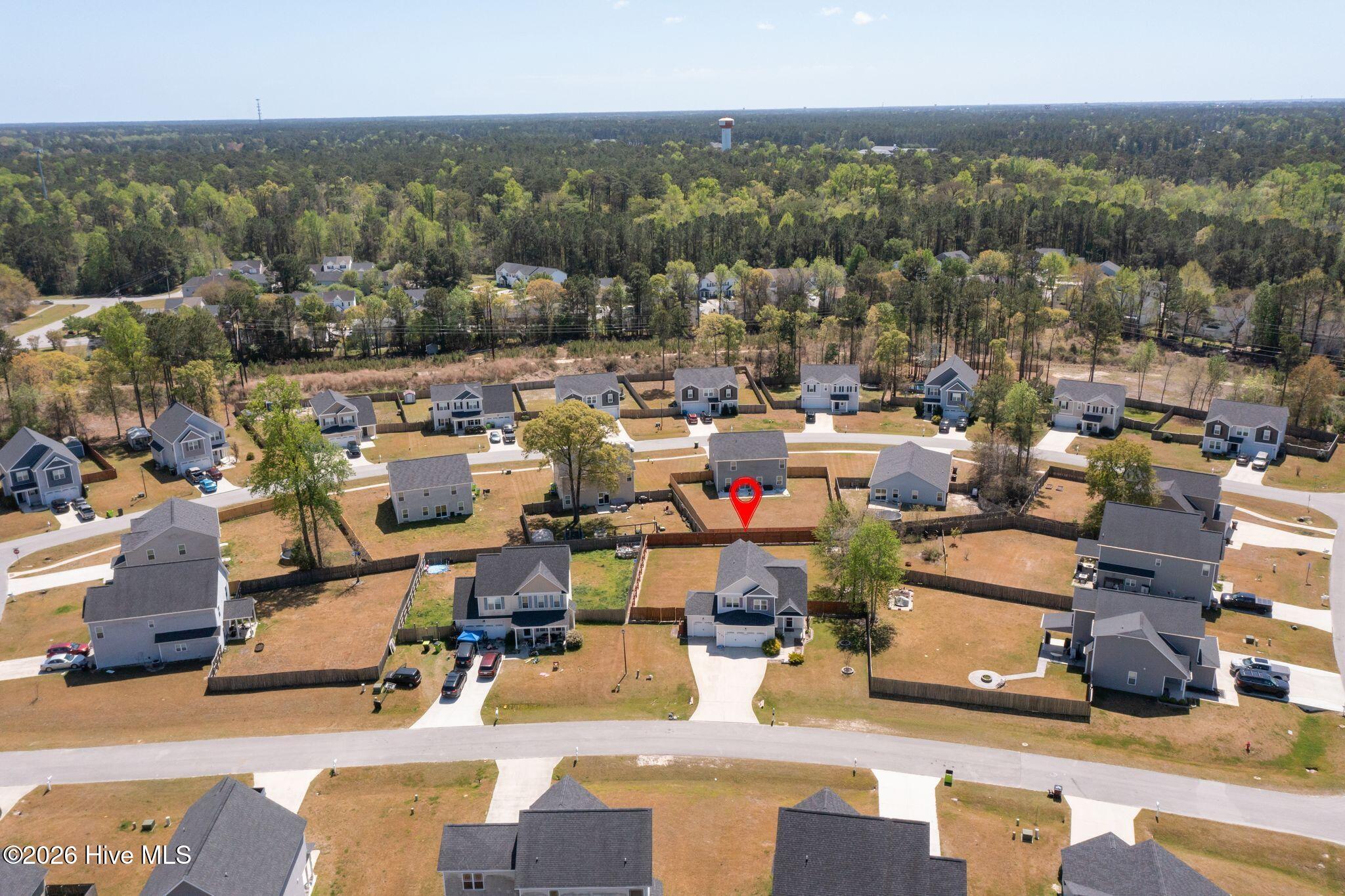 100566459 | Photo 51