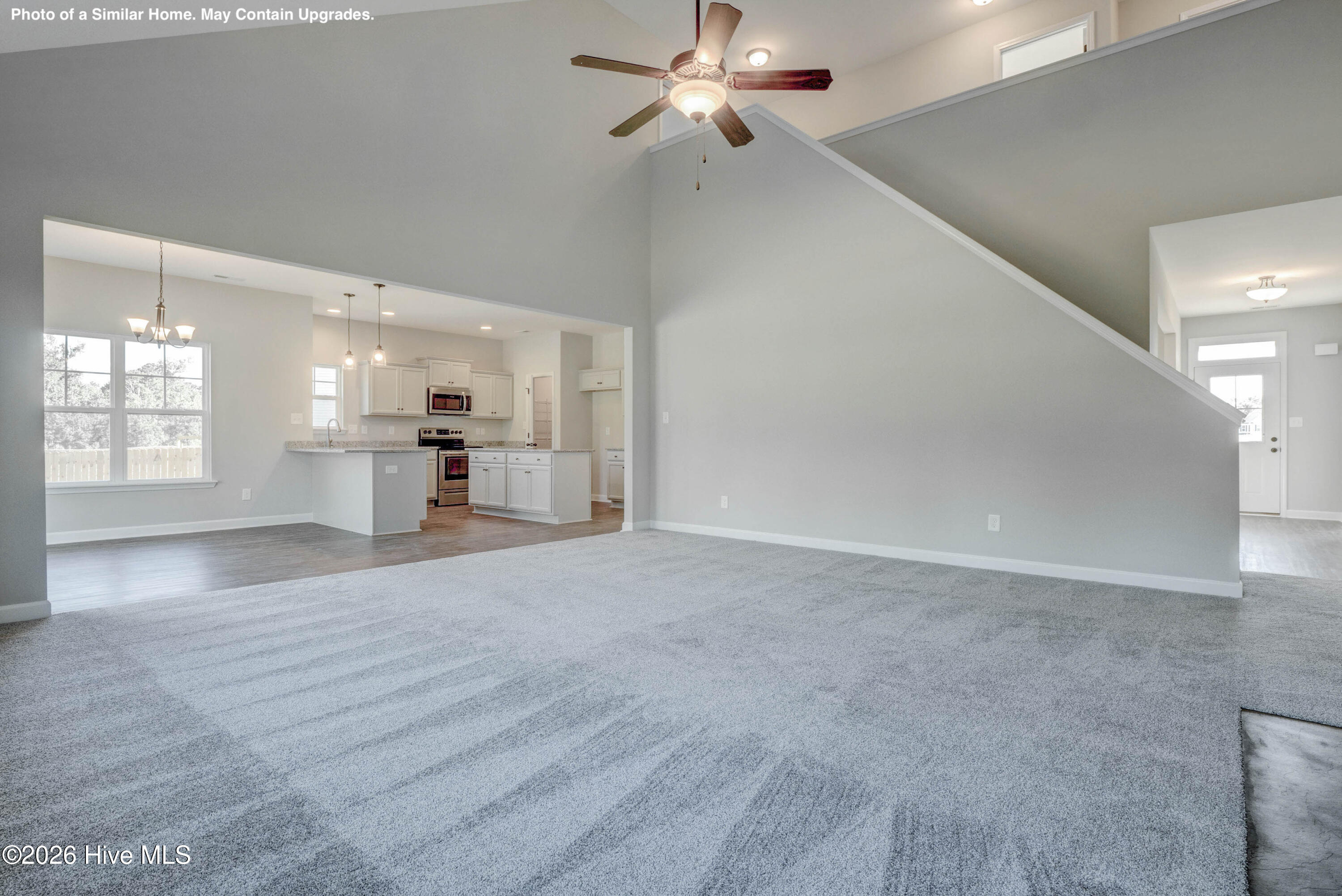 100567172 | Photo 15