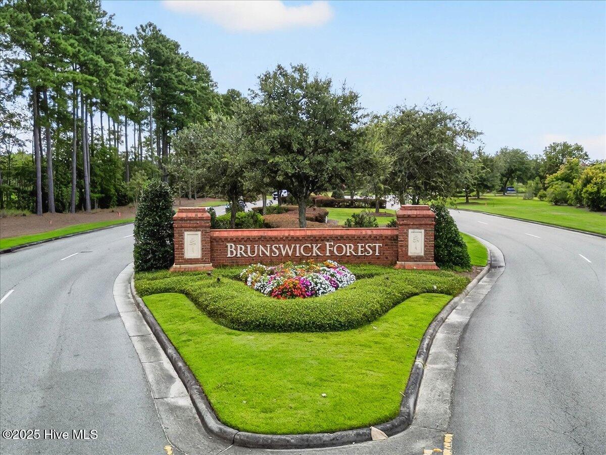 100537556 | Photo 58