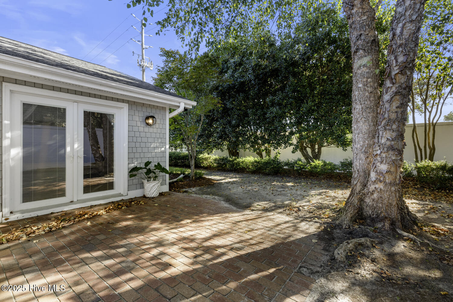 100535668 | Photo 37