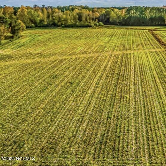 146 Cherry Street, Cerro Gordo, NC, 28430