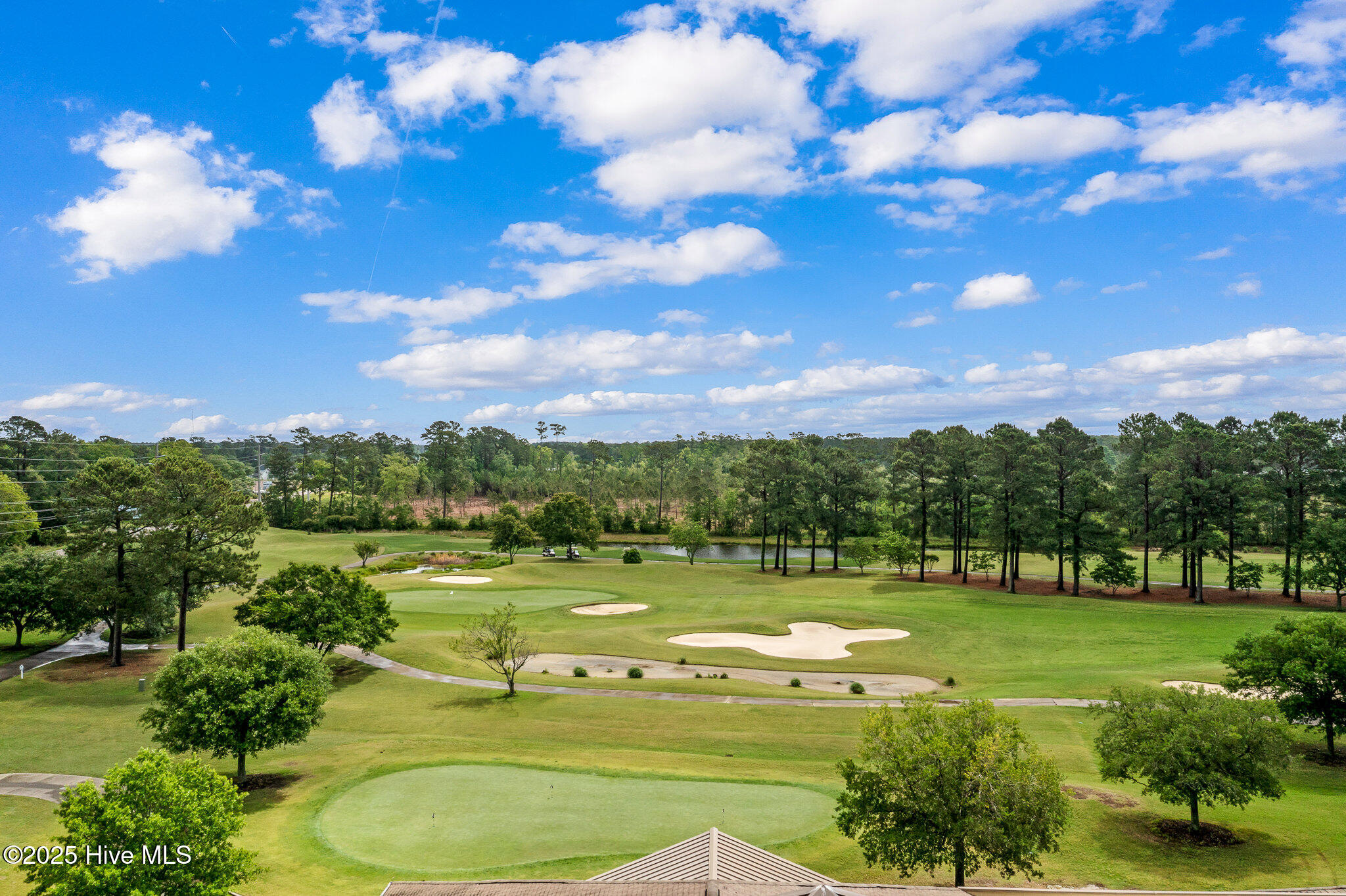 100553572 | Photo 46