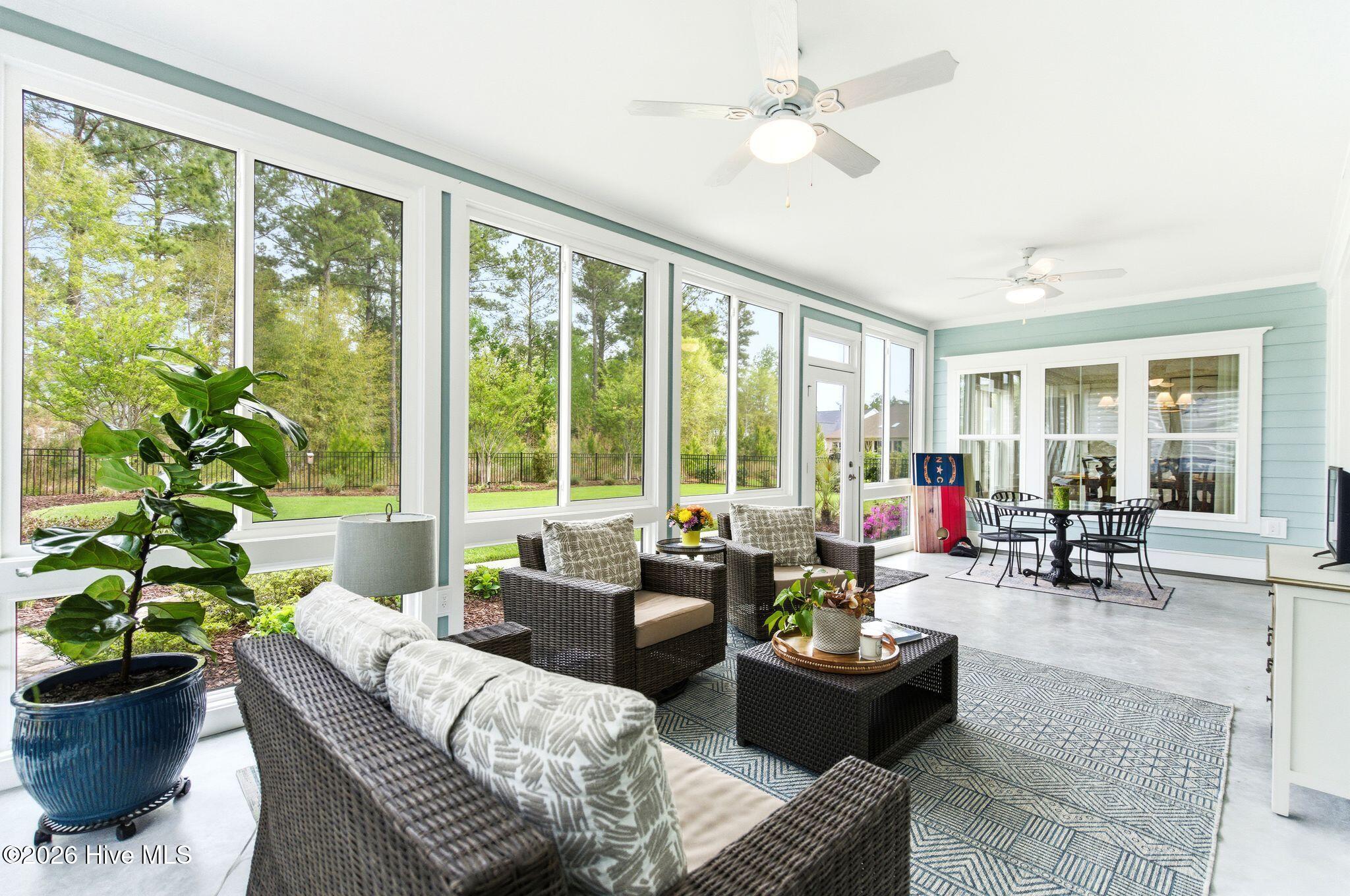 100566081 | Photo 37