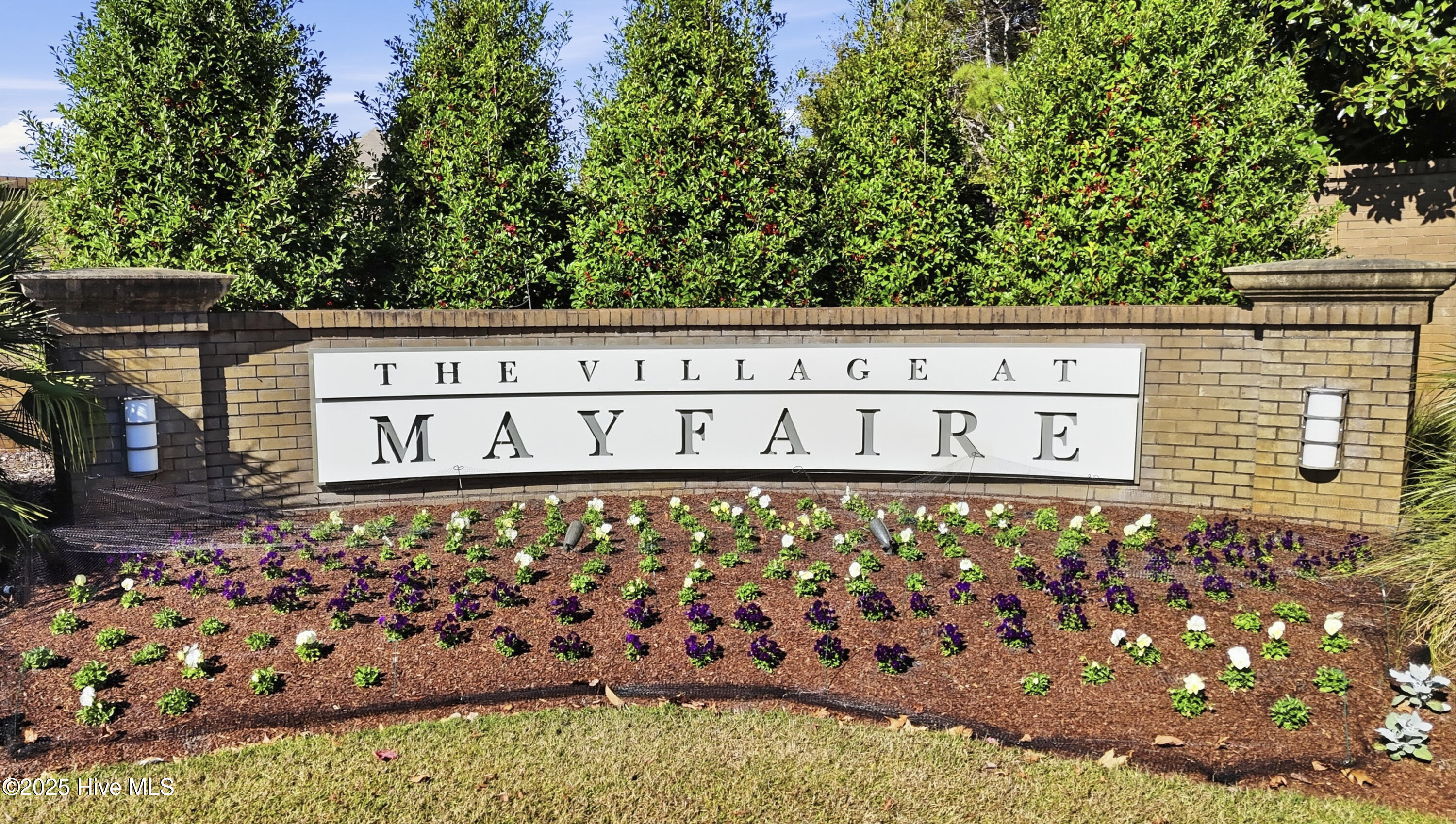 100541571 | Photo 44