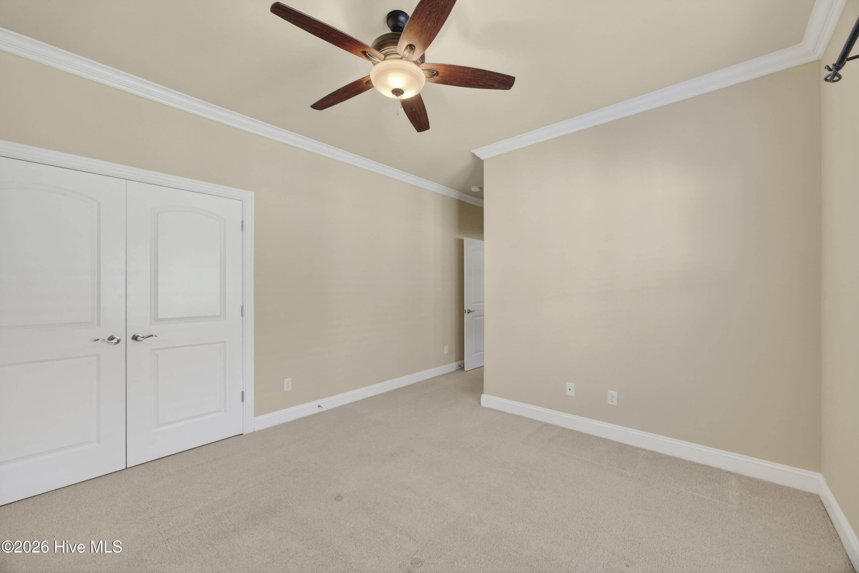 100550633 | Photo 33