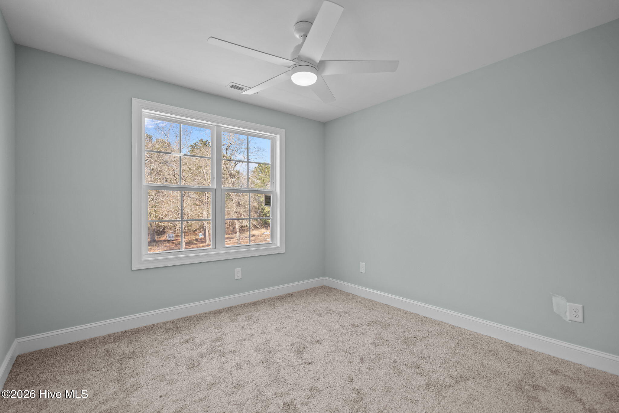 100551885 | Photo 25