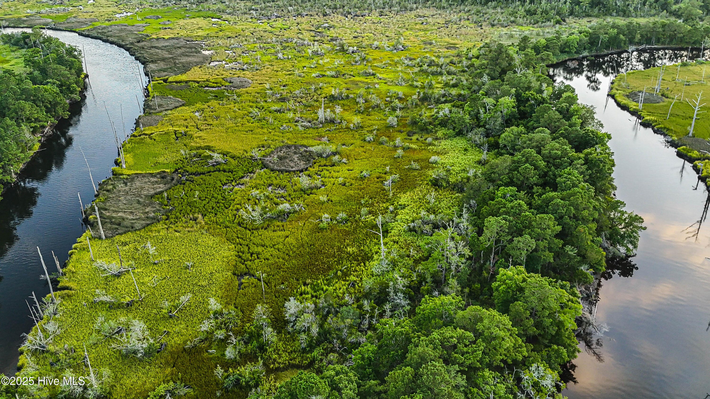 100516751 | Photo 10