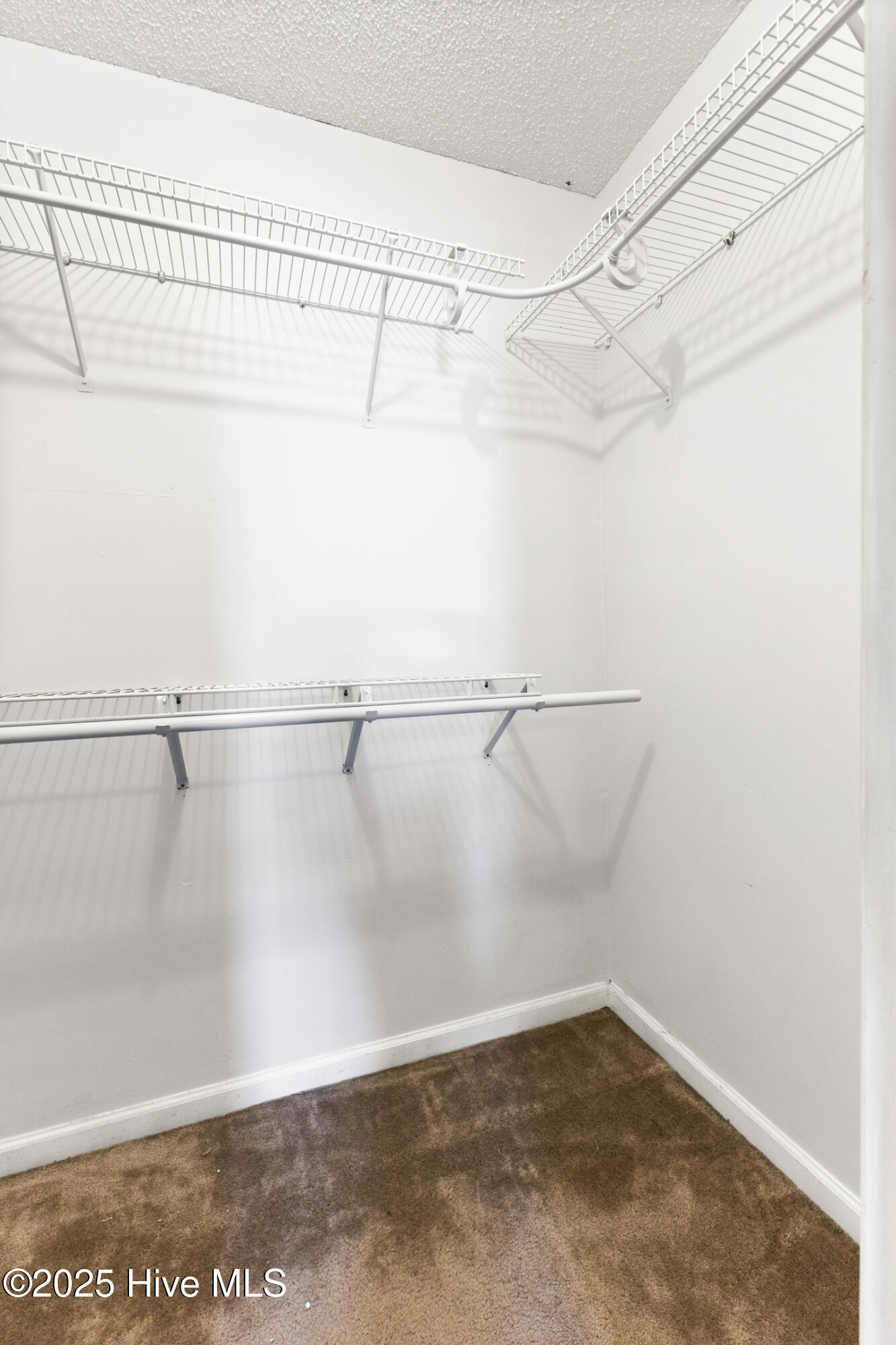 100484039 | Photo 30