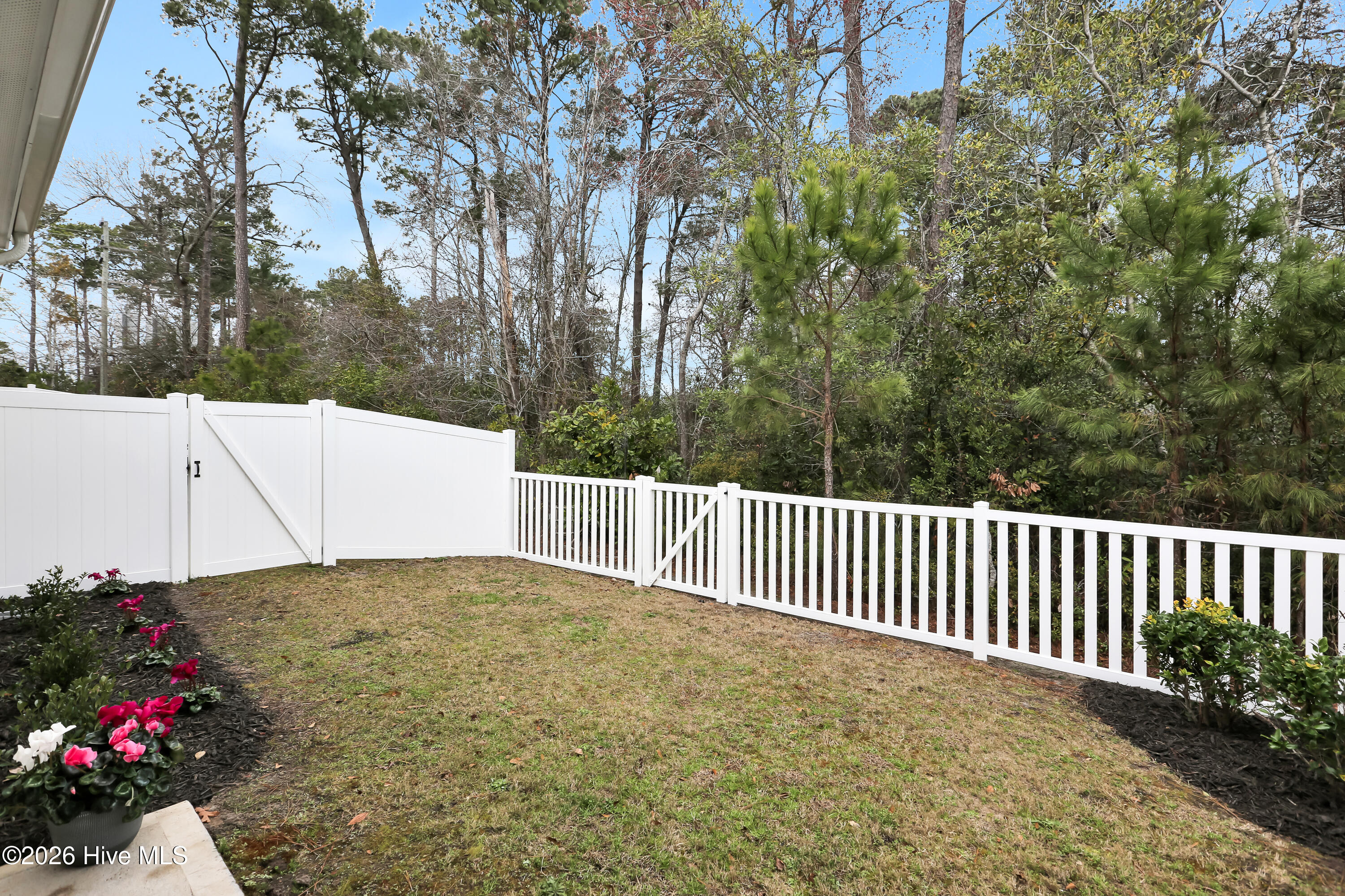 100557185 | Photo 31